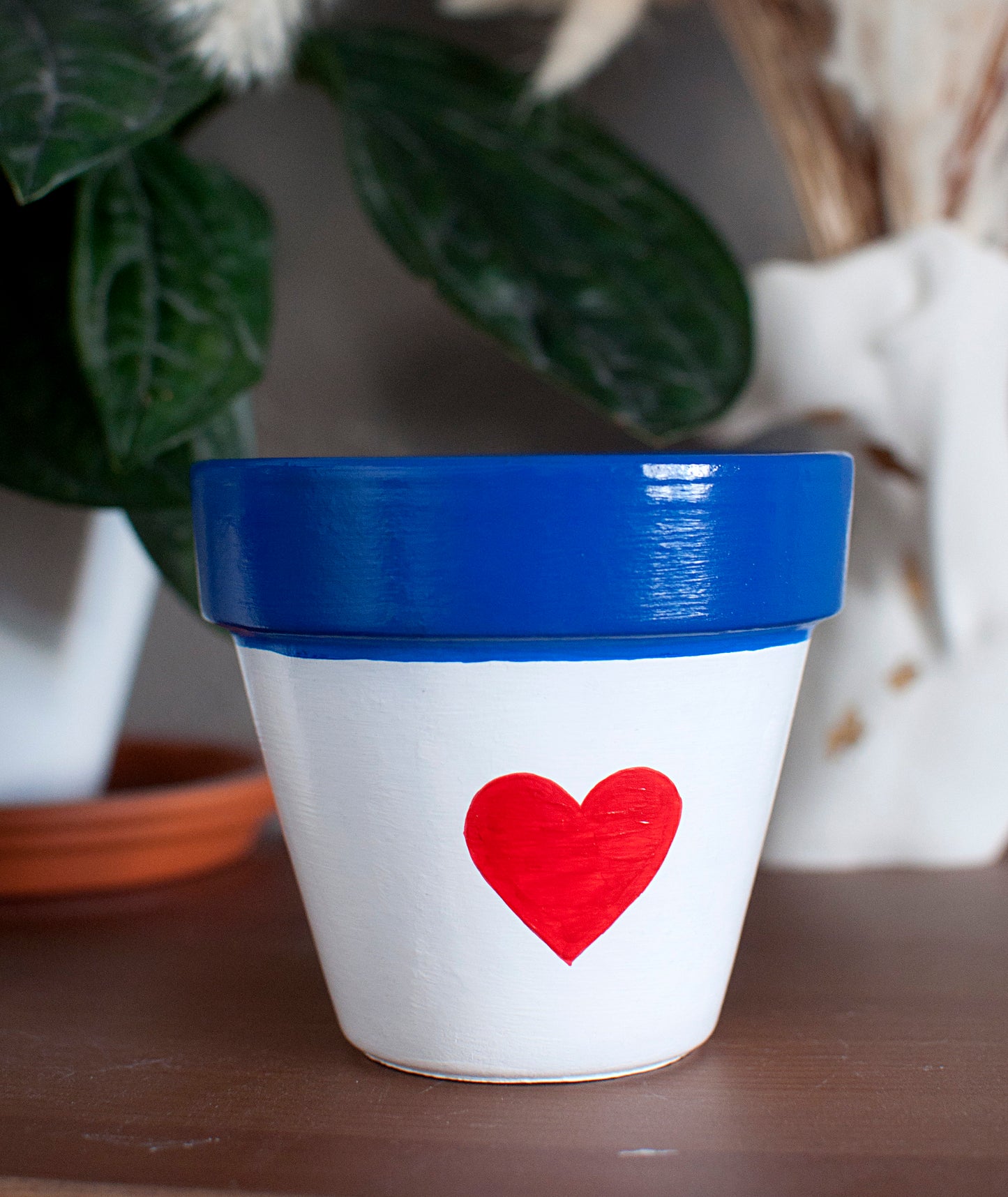Cache pot / Pot en terre cuite : Coeur Marin