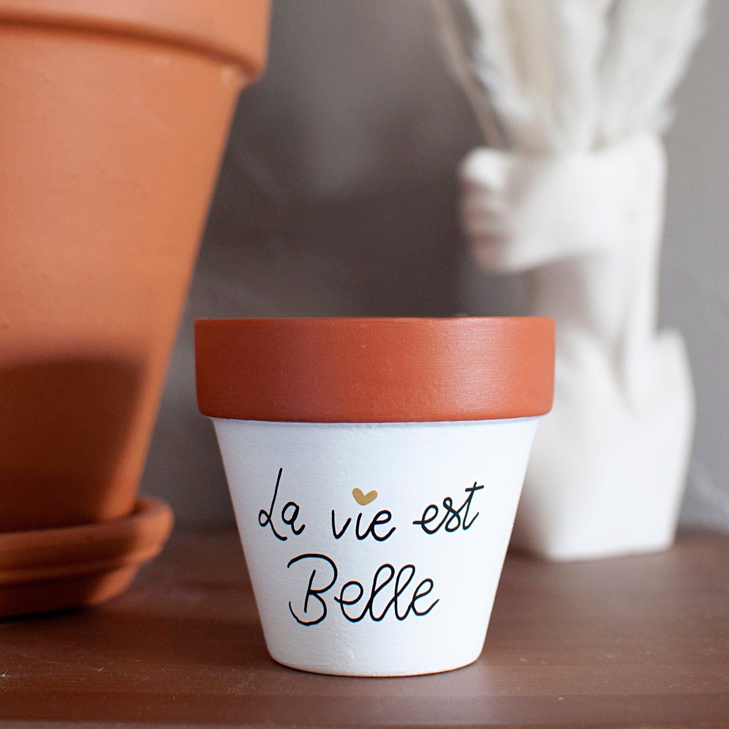 Pot de fleurs / cache pot en terre cuite : La vie est belle