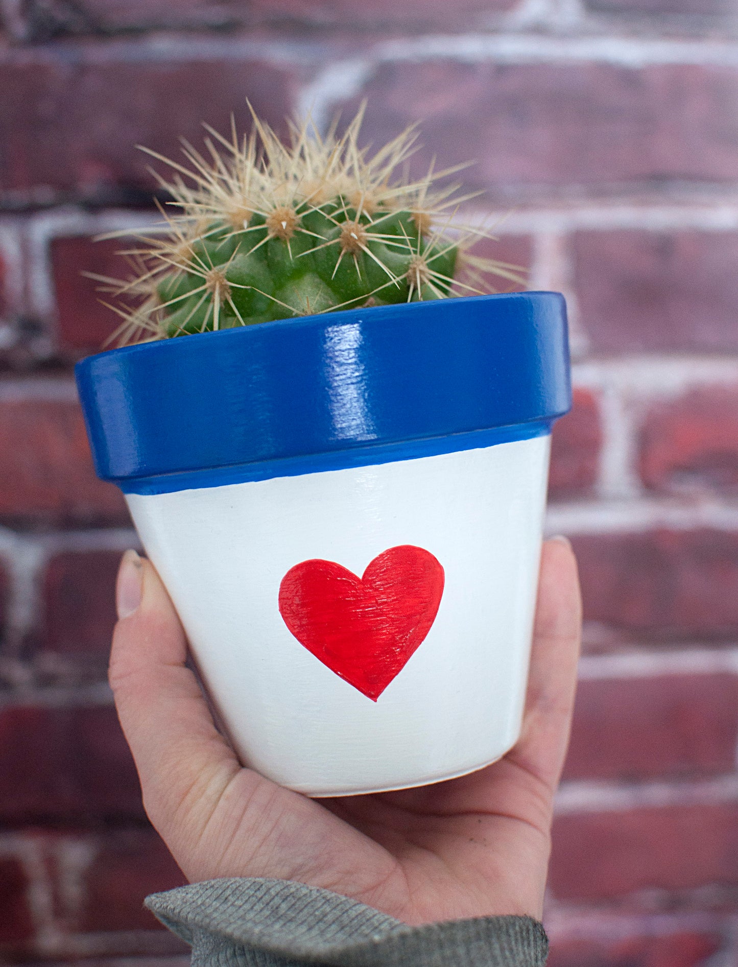 Cache pot / Pot en terre cuite : Coeur Marin