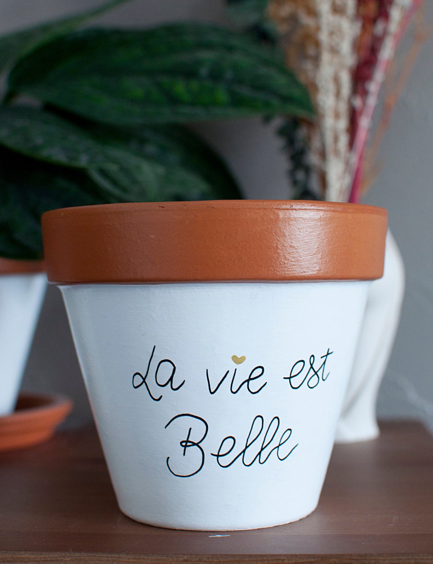 Pot de fleurs / cache pot en terre cuite : La vie est belle