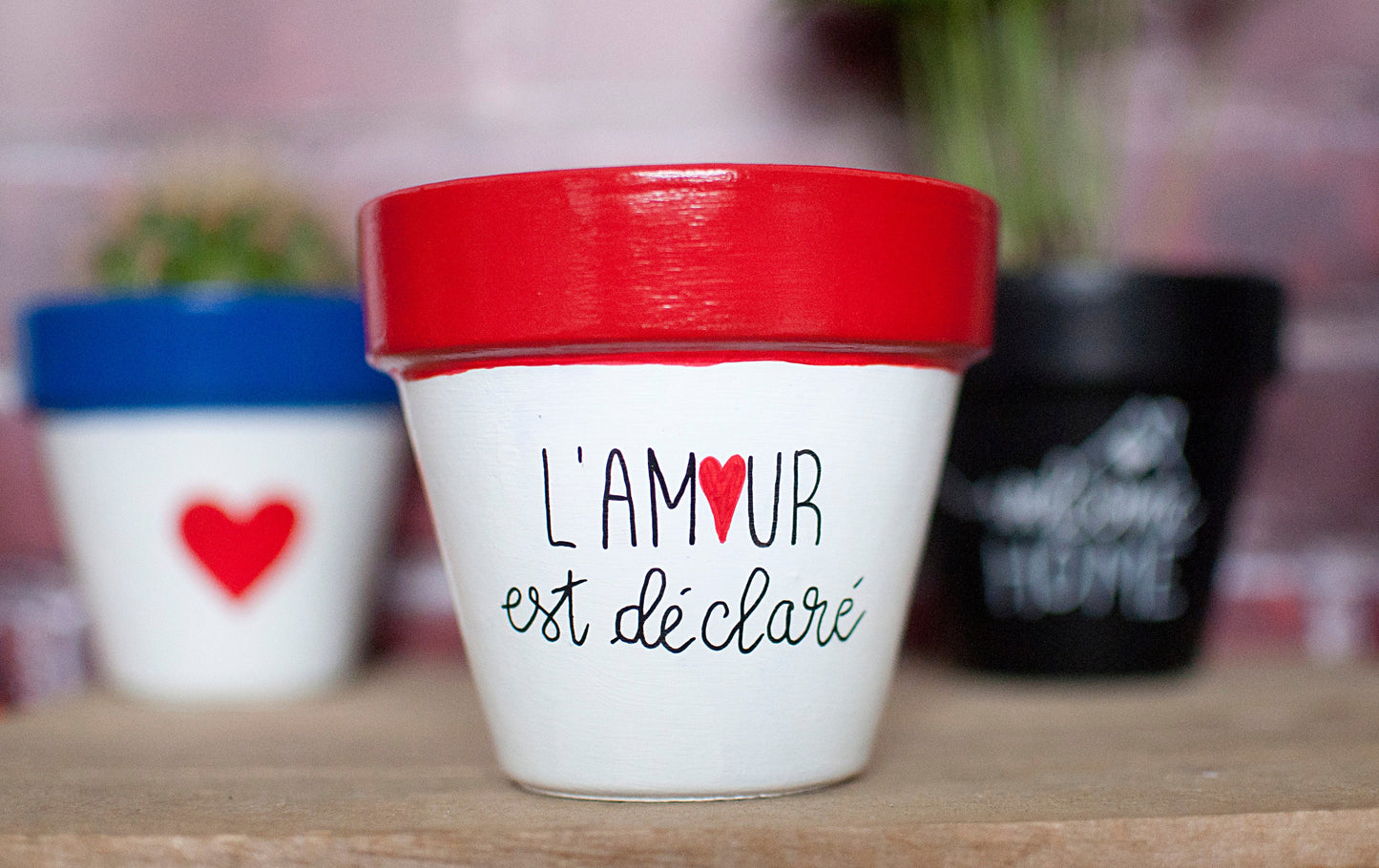 Cache pot / Pot en terre cuite : L'amour est déclaré