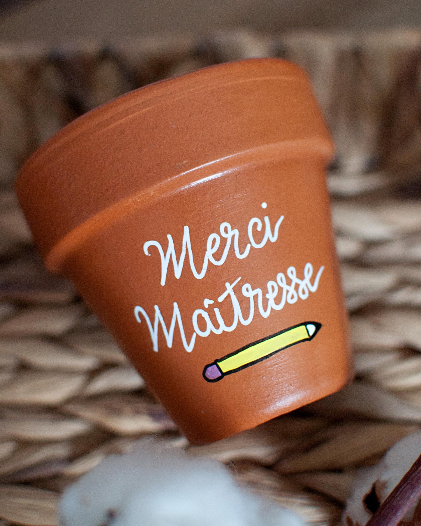 Cache pot / Pot en terre cuite personnalisé pour la fin d’année scolaire : Merci Maitresse / Super Atsem /Super AESH - Pot Terra Cotta