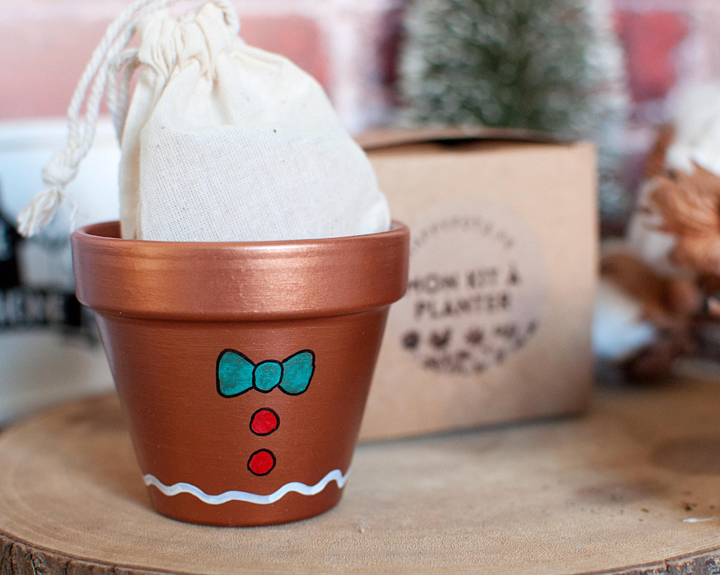 Kit à planter : Mon petit sapin + pot en terre cuite 8 cm de diamètre