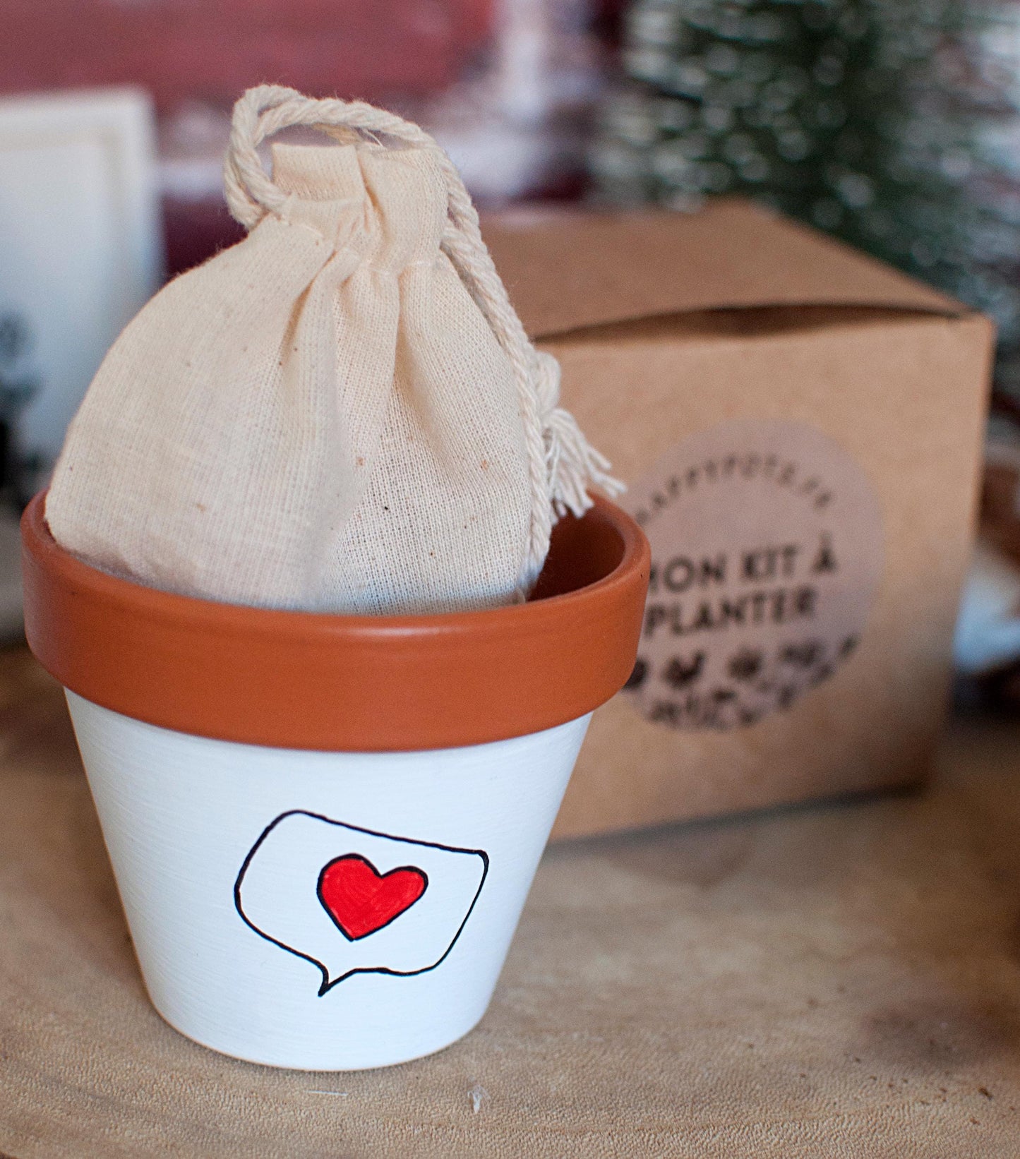 Kit à planter : Mon petit sapin + pot en terre cuite 8 cm de diamètre