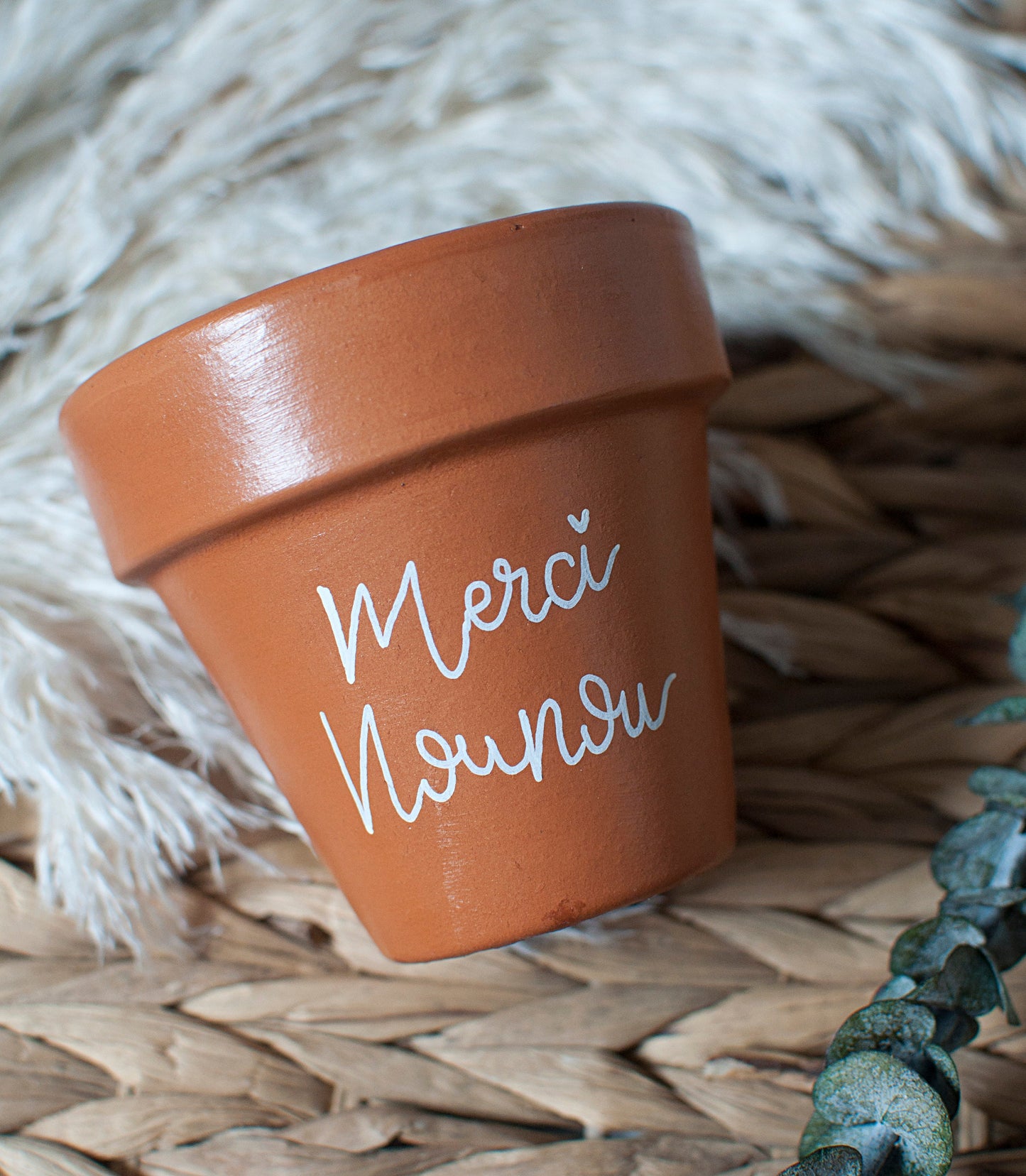 Cache pot / Pot de fleurs en terre cuite personnalisé : Merci Nounou