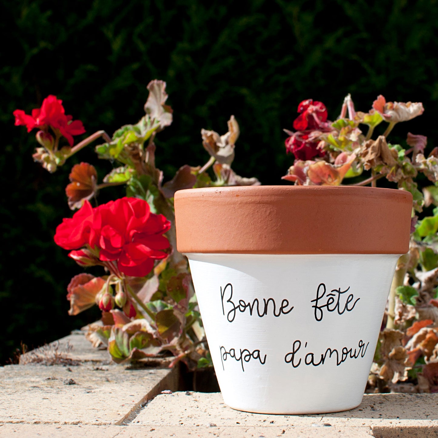 Cache pot /Pot de fleurs en terre cuite personnalisé : prénom/texte