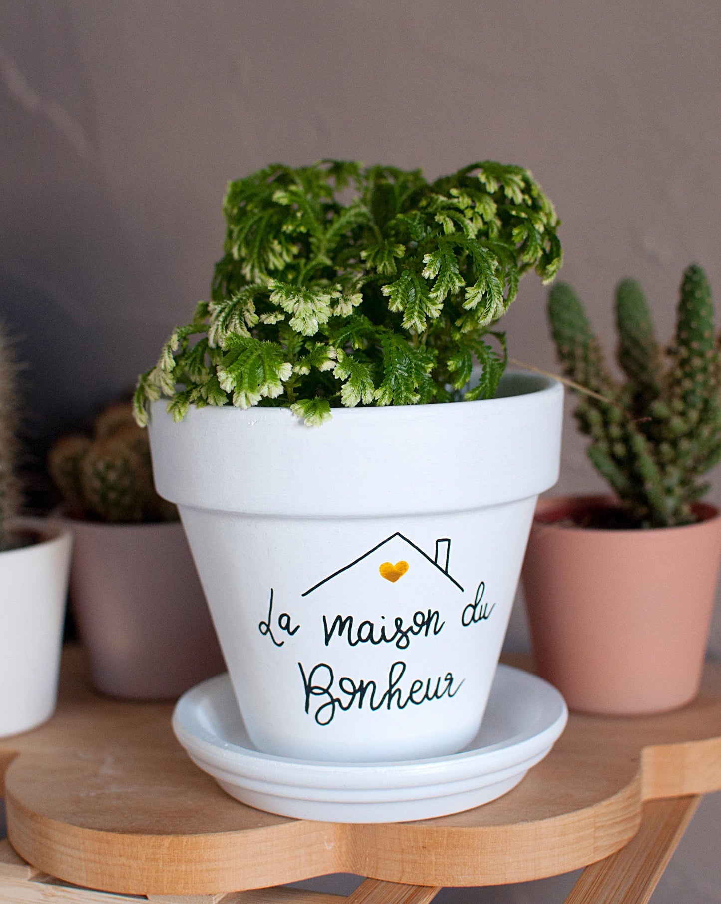 Cache pot / Pot de fleur en terre cuite : La maison du bonheur