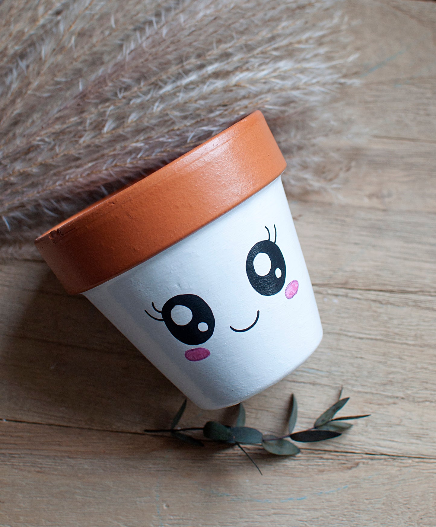 Pot de fleurs / cache pot en terre cuite : Ptitpot