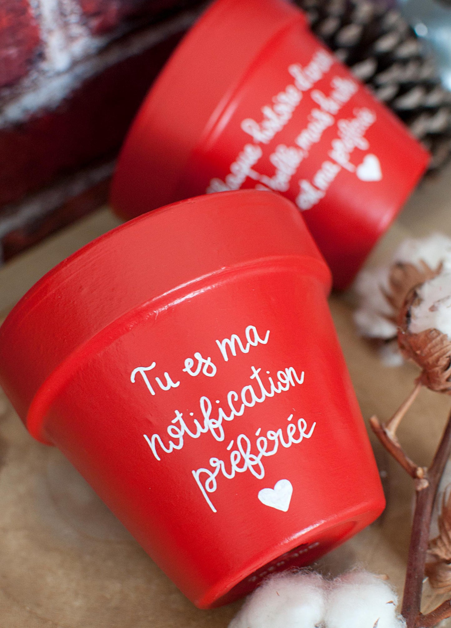 Cache pot / pot en terre cuite personnalisé « Tu es ma notification préférée »