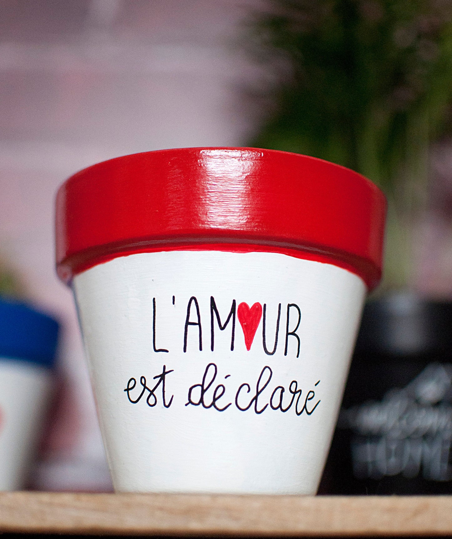 Cache pot / Pot en terre cuite : L'amour est déclaré