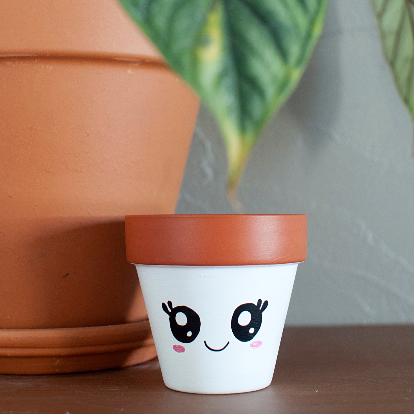 Pot de fleurs / cache pot en terre cuite : Ptitpot