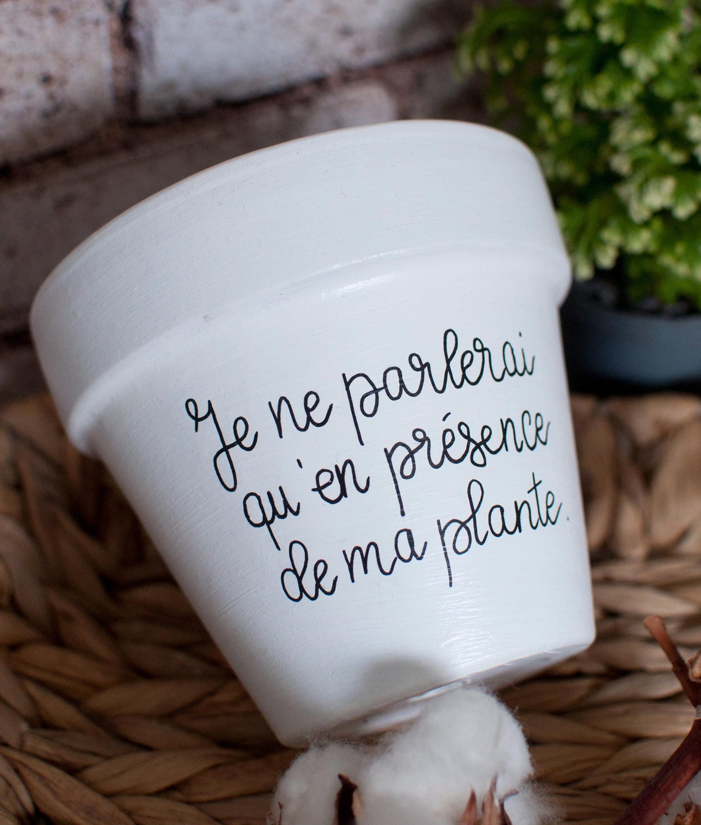 Cache pot / pot en terre cuite personnalisé : « Je ne parlerai qu’en présence de ma plante »