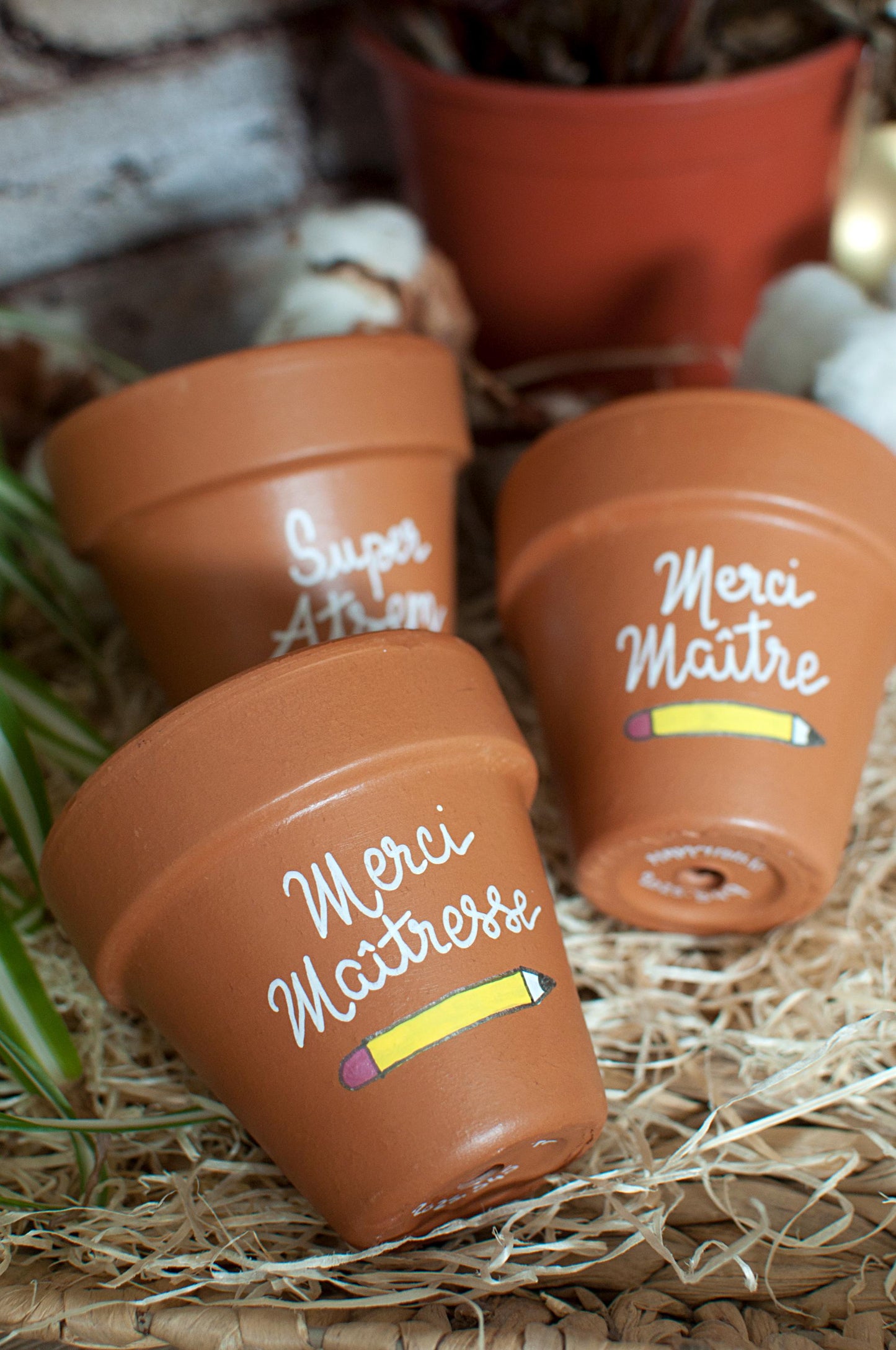Cache pot / Pot en terre cuite personnalisé pour la fin d’année scolaire : Merci Maitresse / Super Atsem /Super AESH - Pot Terra Cotta
