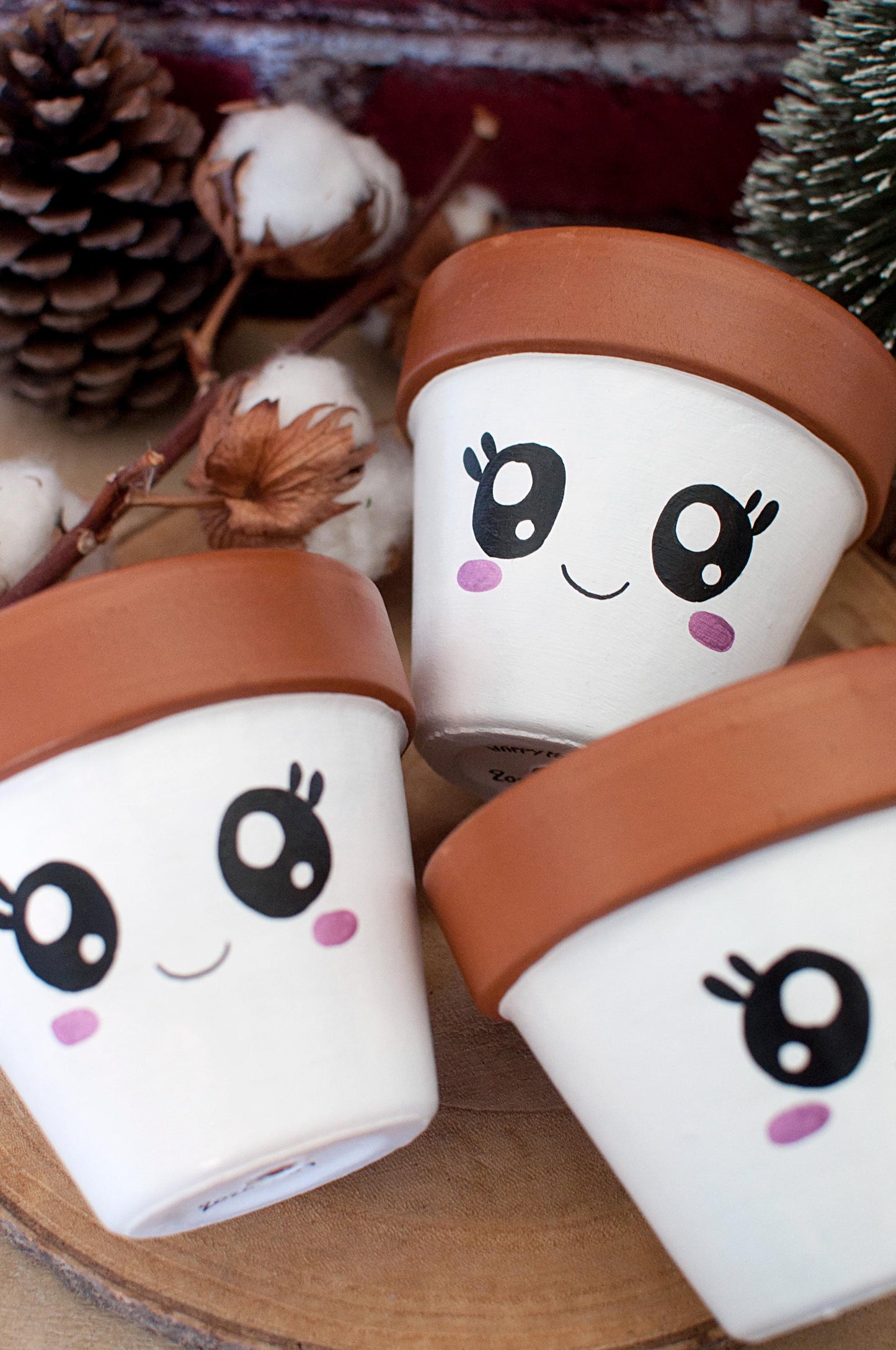 Pot de fleurs / cache pot en terre cuite : Ptitpot