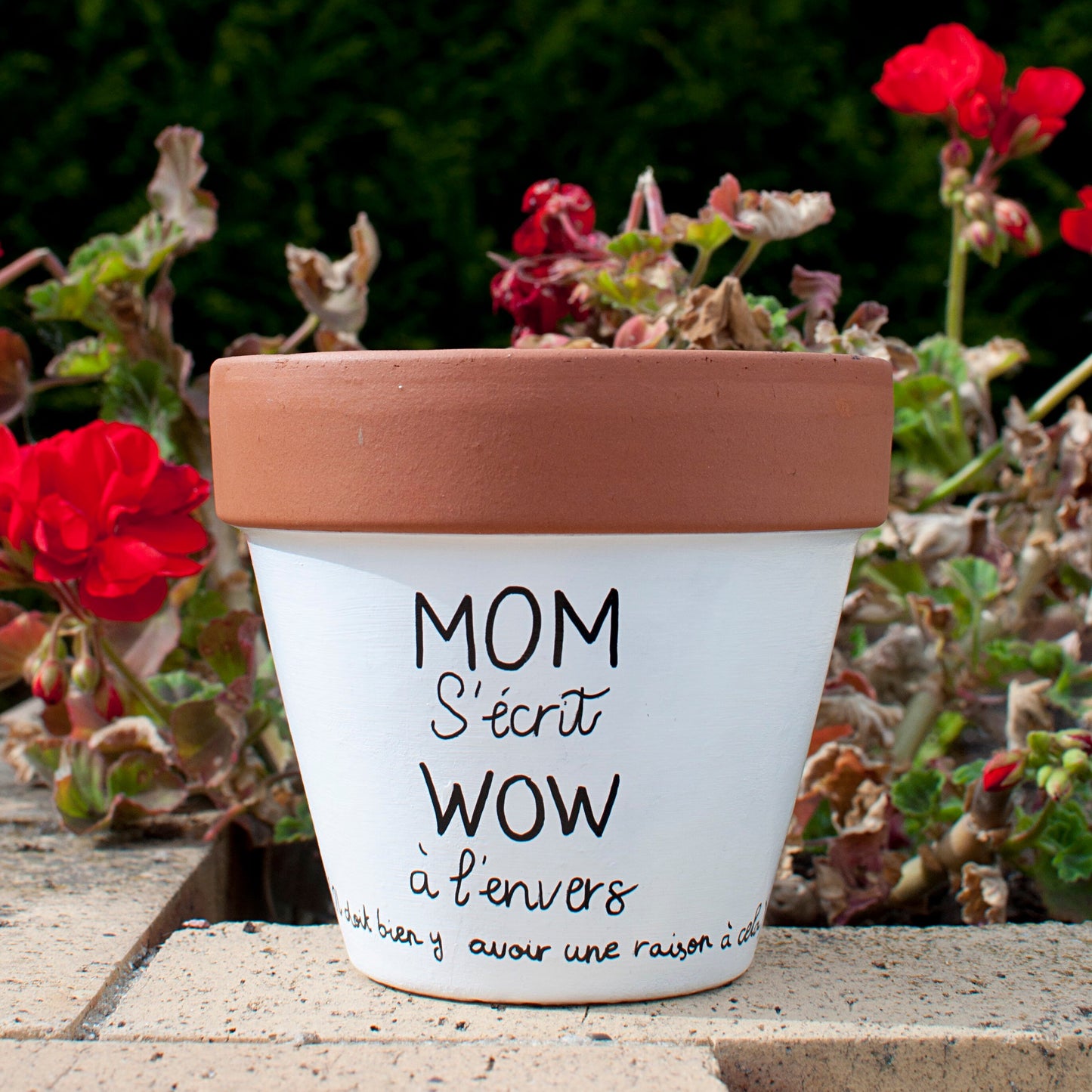 Cache pot /Pot de fleurs en terre cuite personnalisé : prénom/texte