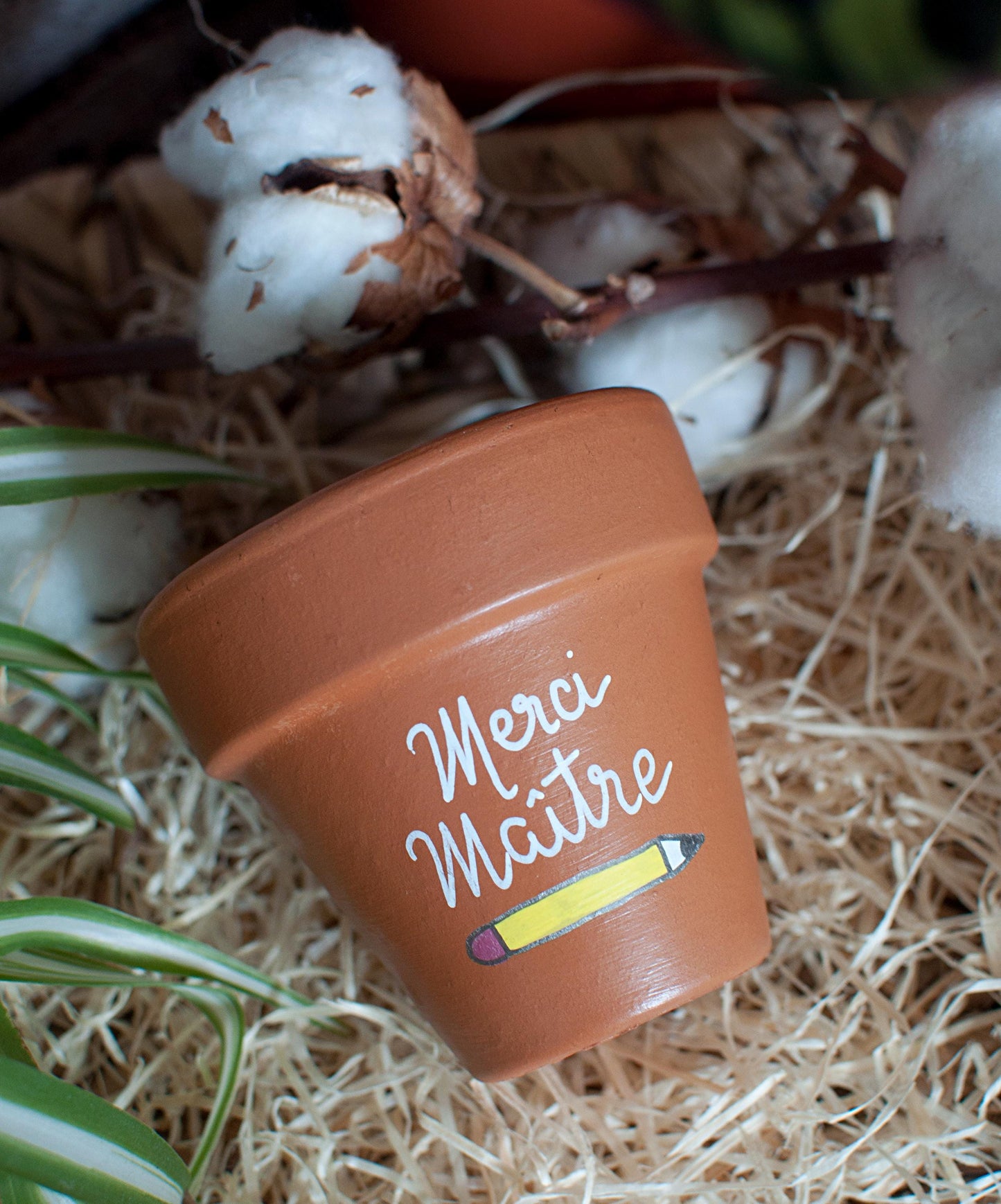 Cache pot / Pot en terre cuite personnalisé pour la fin d’année scolaire : Merci Maitresse / Super Atsem /Super AESH - Pot Terra Cotta