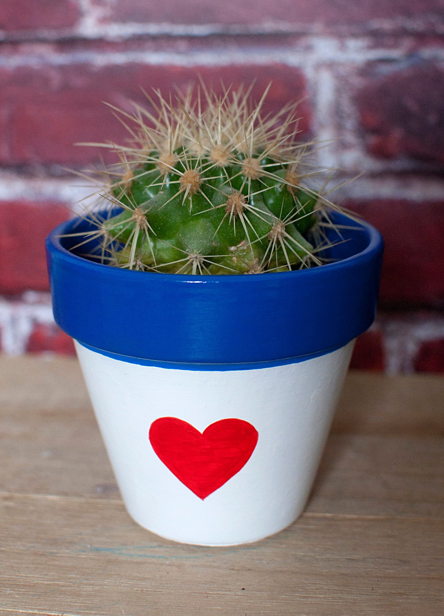 Cache pot / Pot en terre cuite : Coeur Marin