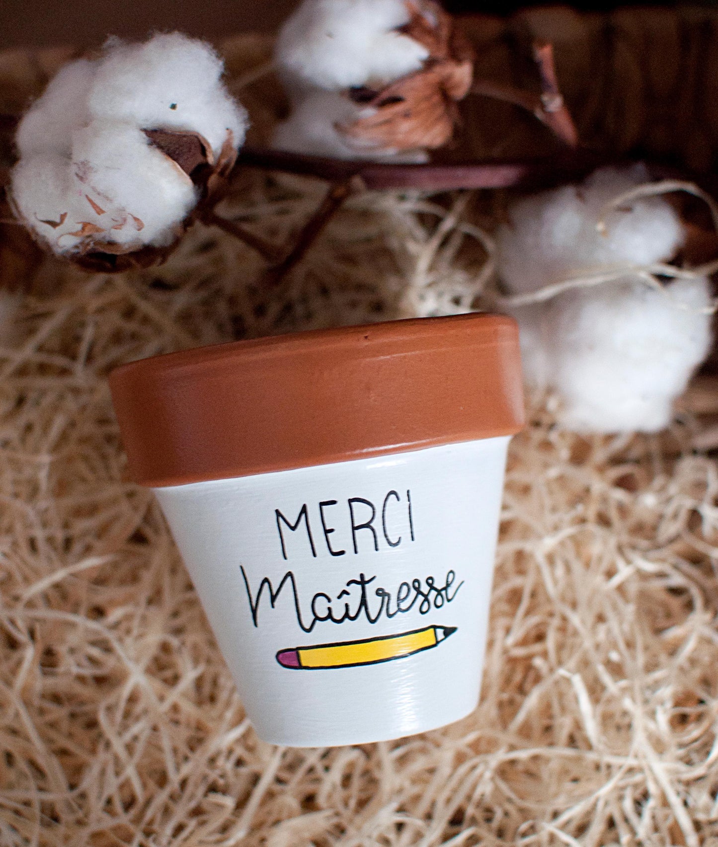 Cache pot / pot de fleurs en terre cuite personnalisé, cadeau de fin d’année scolaire : Merci Maitresse / Atsem / Cadeau