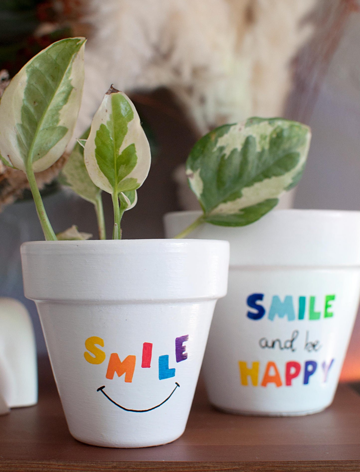 Cache pot / pot de fleurs personnalisé : "Smile"