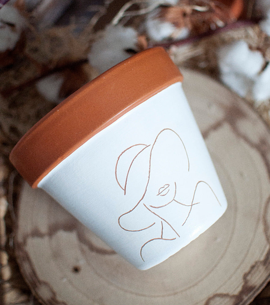 Cache pot / Pot de fleurs en terre cuite gravé : Mona