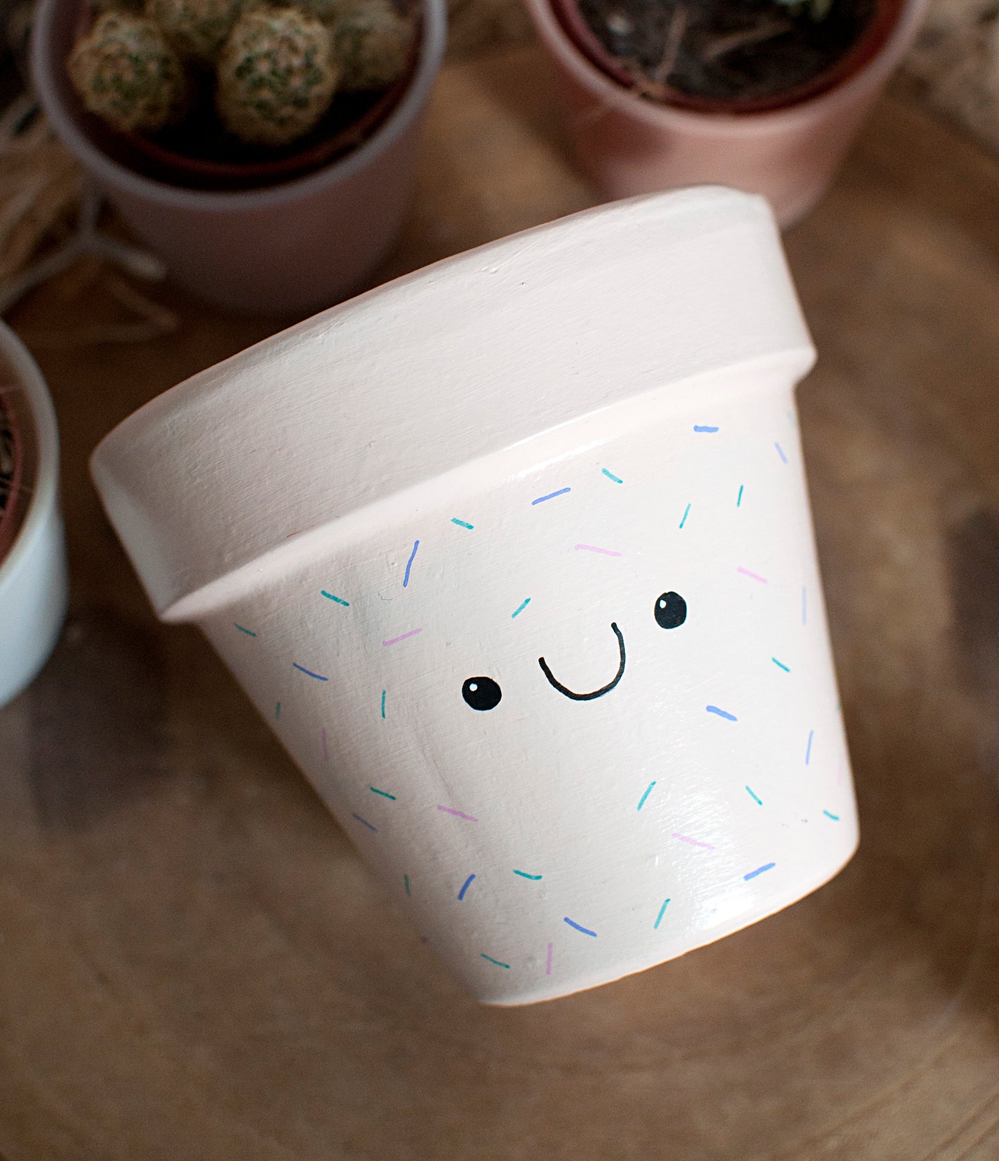 Cache pot / Pot en terre cuite : Happy Sprinkles
