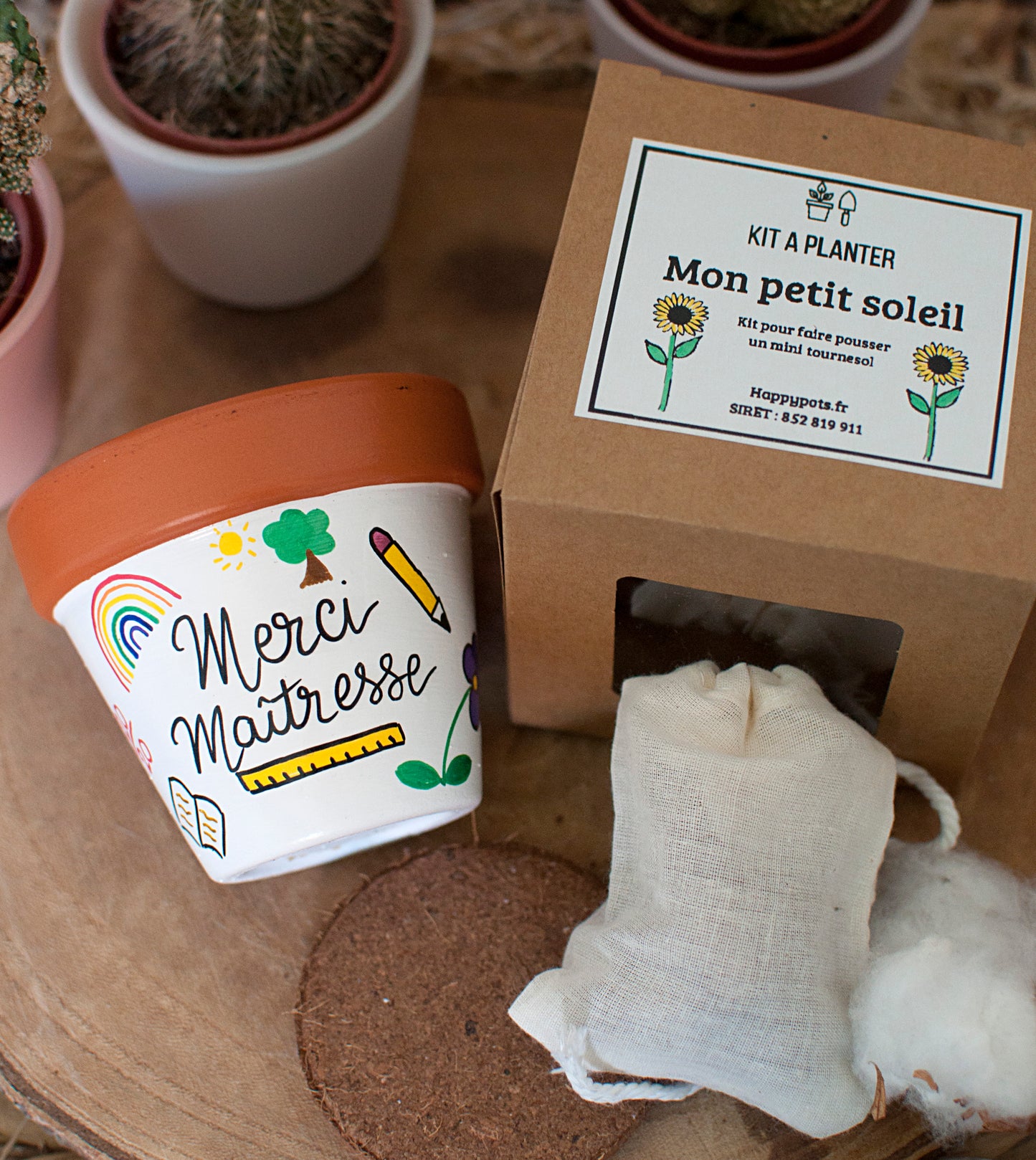 Kit à planter : Merci maîtresse + pot en terre cuite 8 cm de diamètre