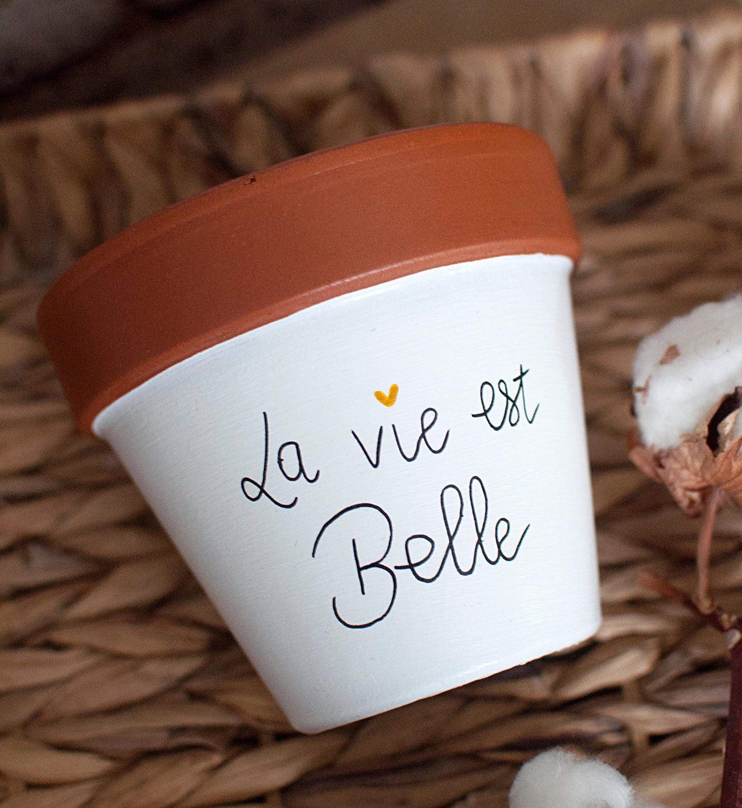 Pot de fleurs / cache pot en terre cuite : La vie est belle