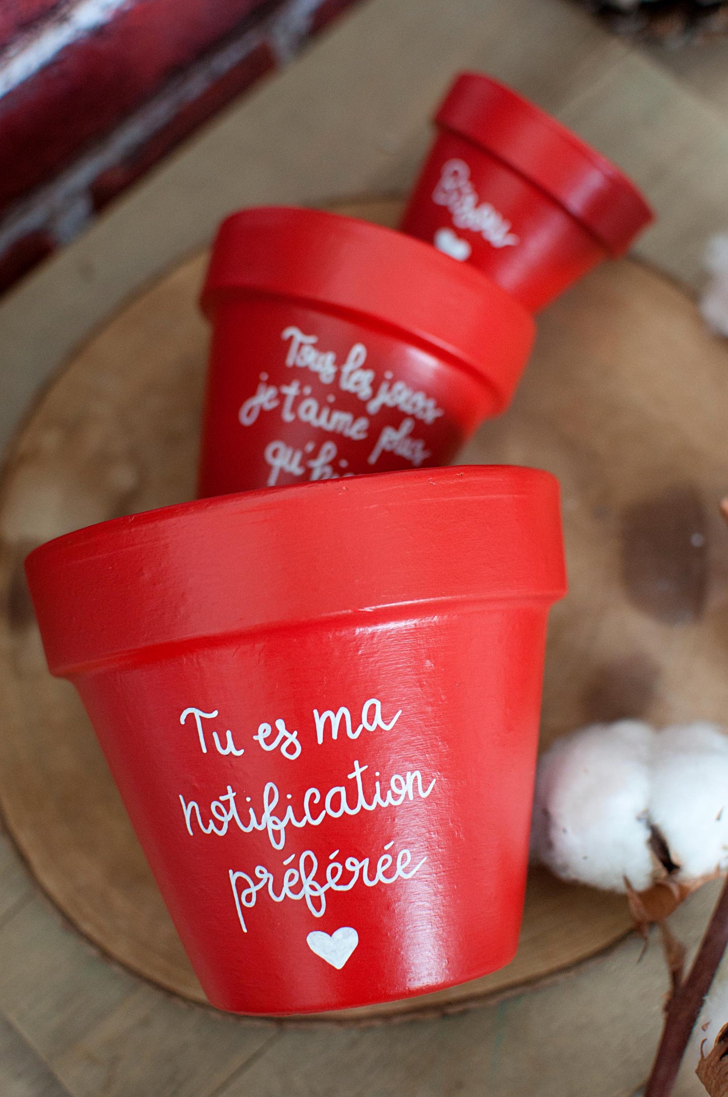 Cache pot / pot en terre cuite personnalisé « Tous les jours je t'aime plus qu'hier » / Cadeau Saint-Valentin / Amour