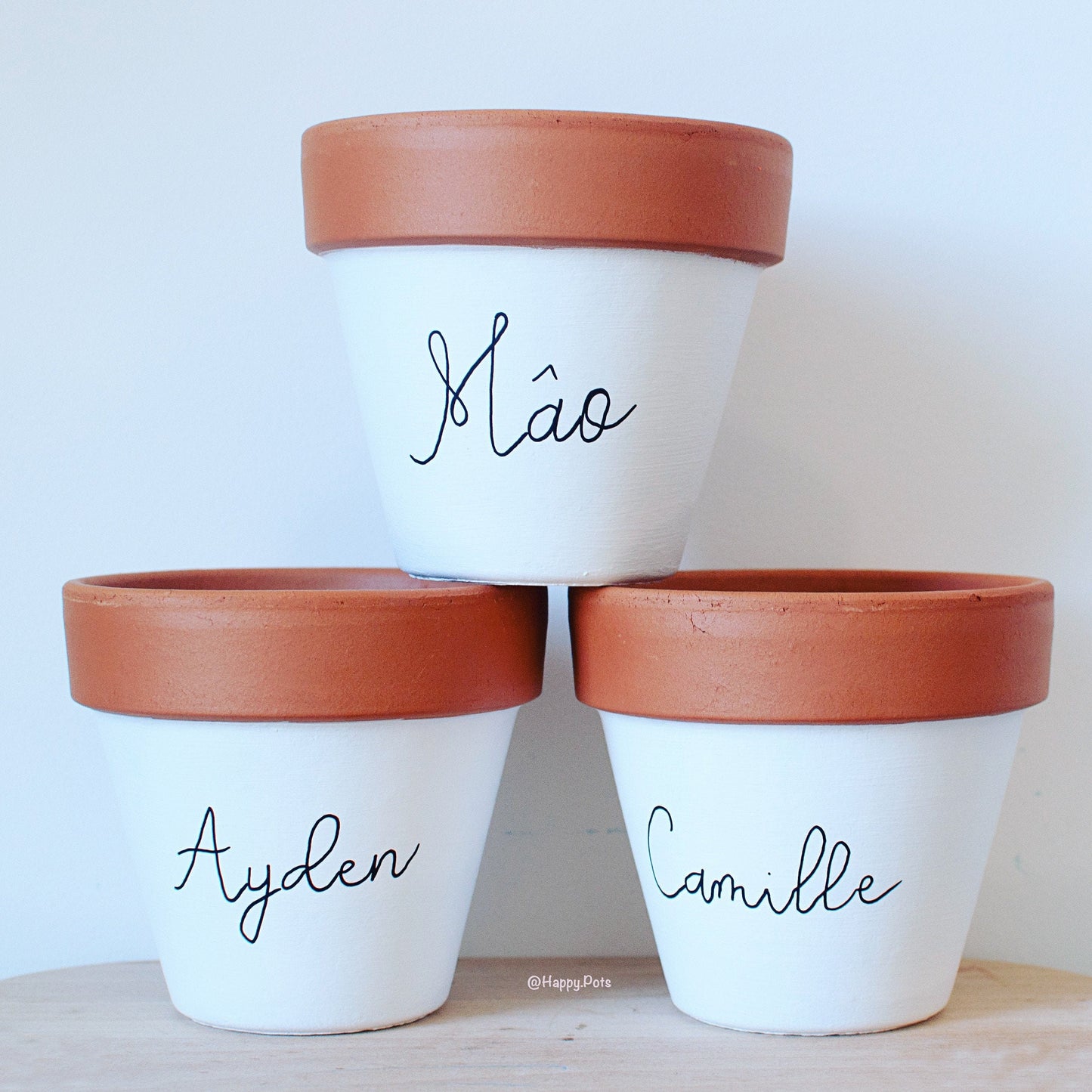 Cache pot /Pot de fleurs en terre cuite personnalisé : prénom/texte