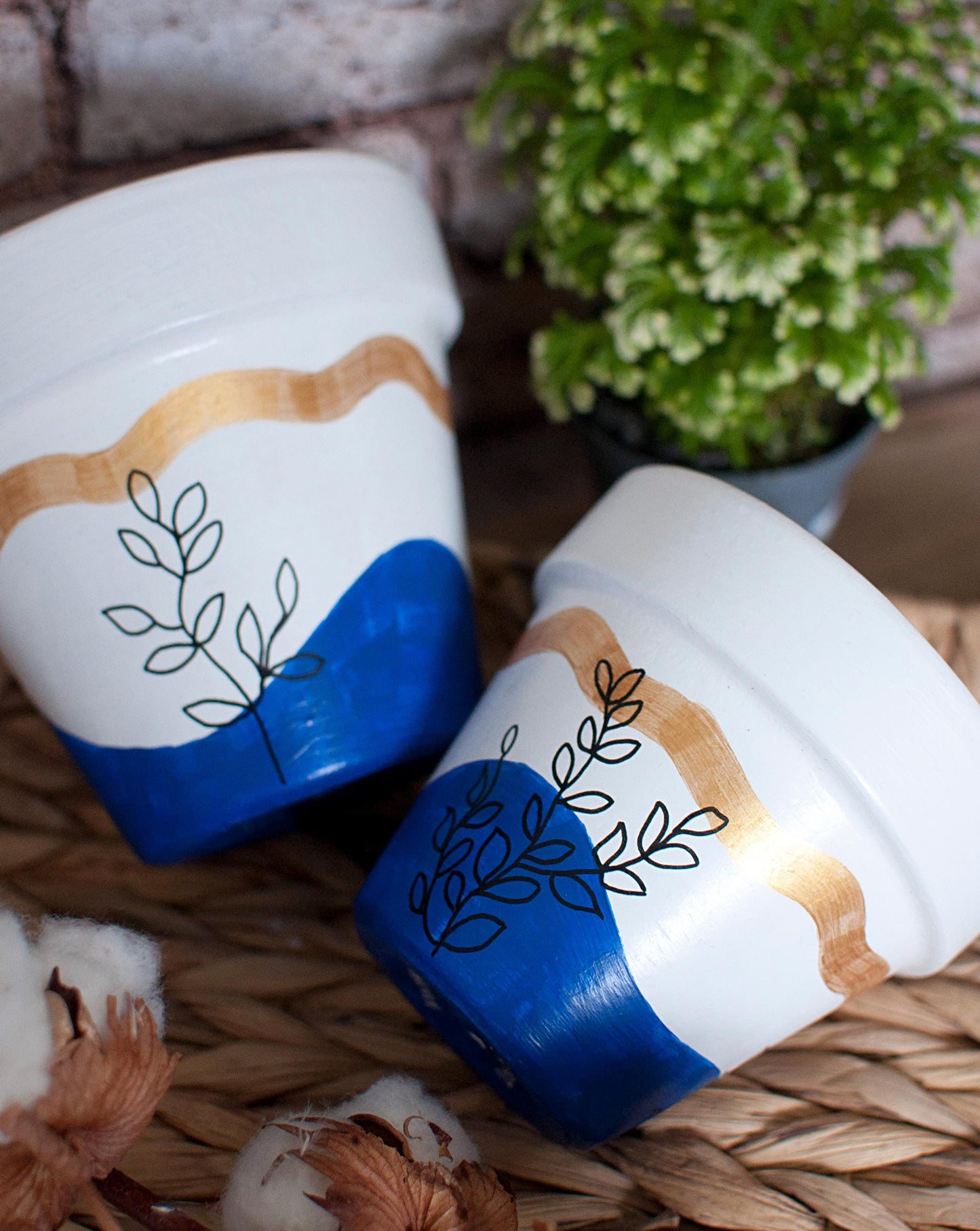 Pot en terre cuite : Goldesia