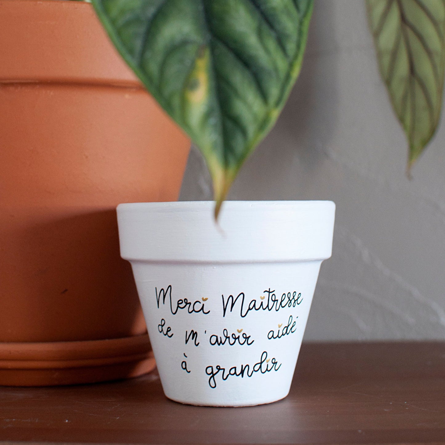 Cache pot / Pot en terre cuite personnalisé : Merci (prénom) de m'avoir aidé(e) à grandir