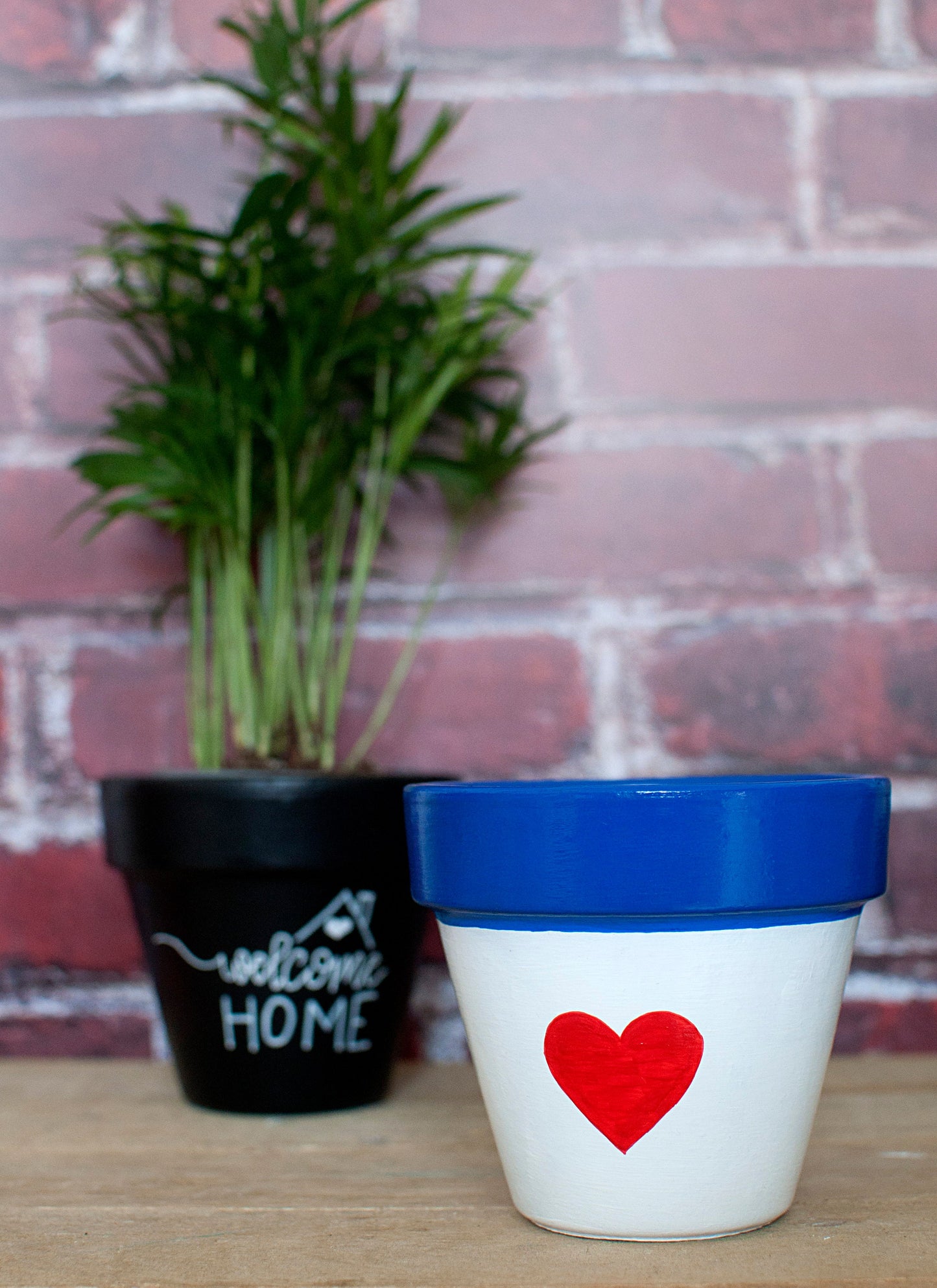 Cache pot / Pot en terre cuite : Coeur Marin