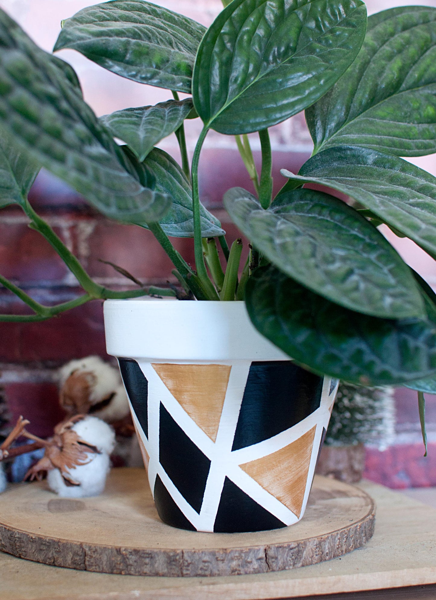 Pot de fleur en terre cuite : Black Gold/Silver