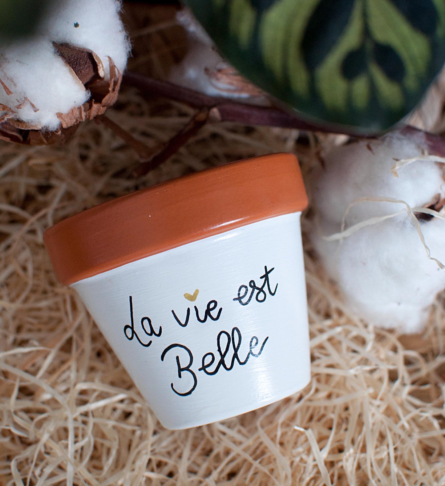 Pot de fleurs / cache pot en terre cuite : La vie est belle