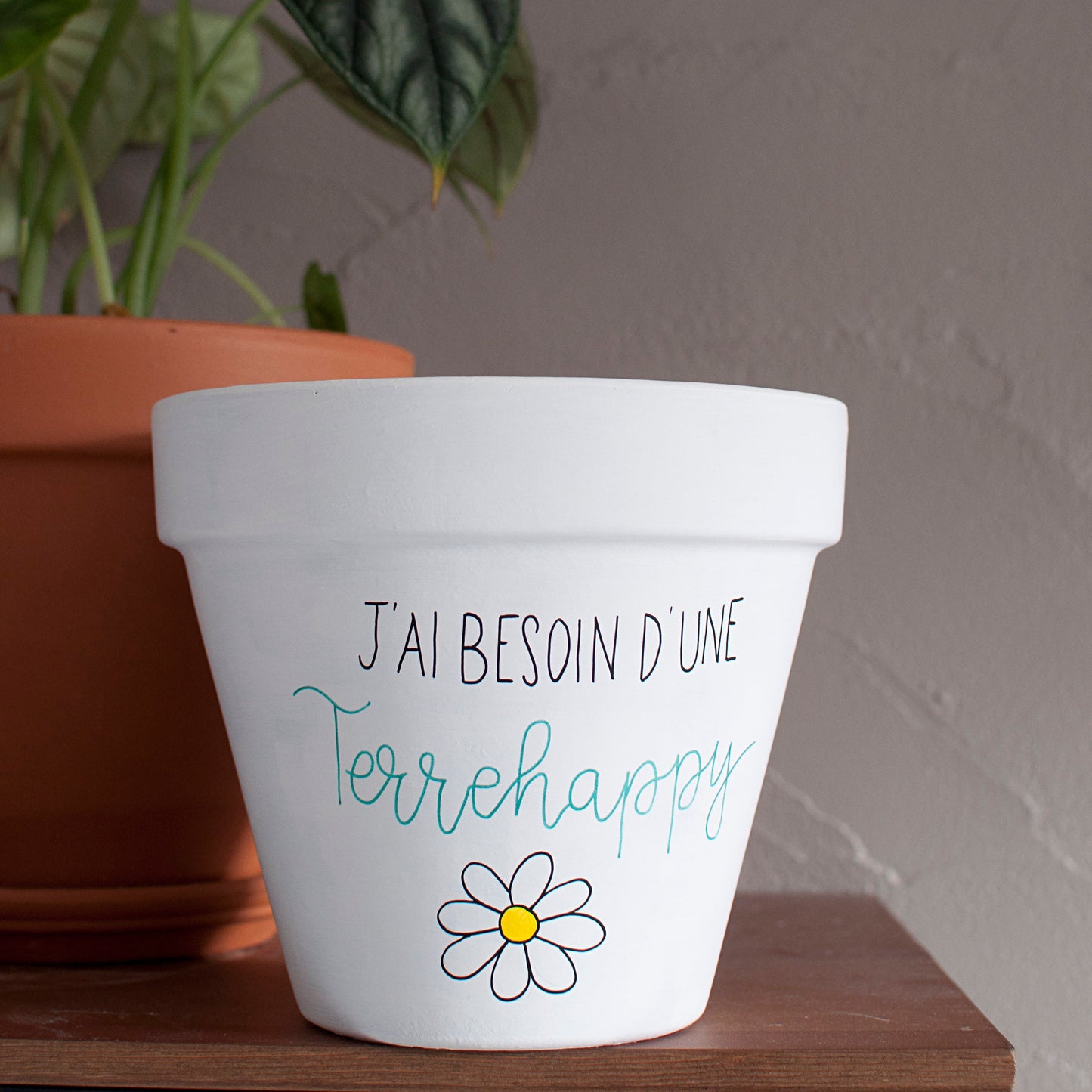 Cache pot / Pot de fleurs en terre cuite : J'ai besoin d'une Terrehappy