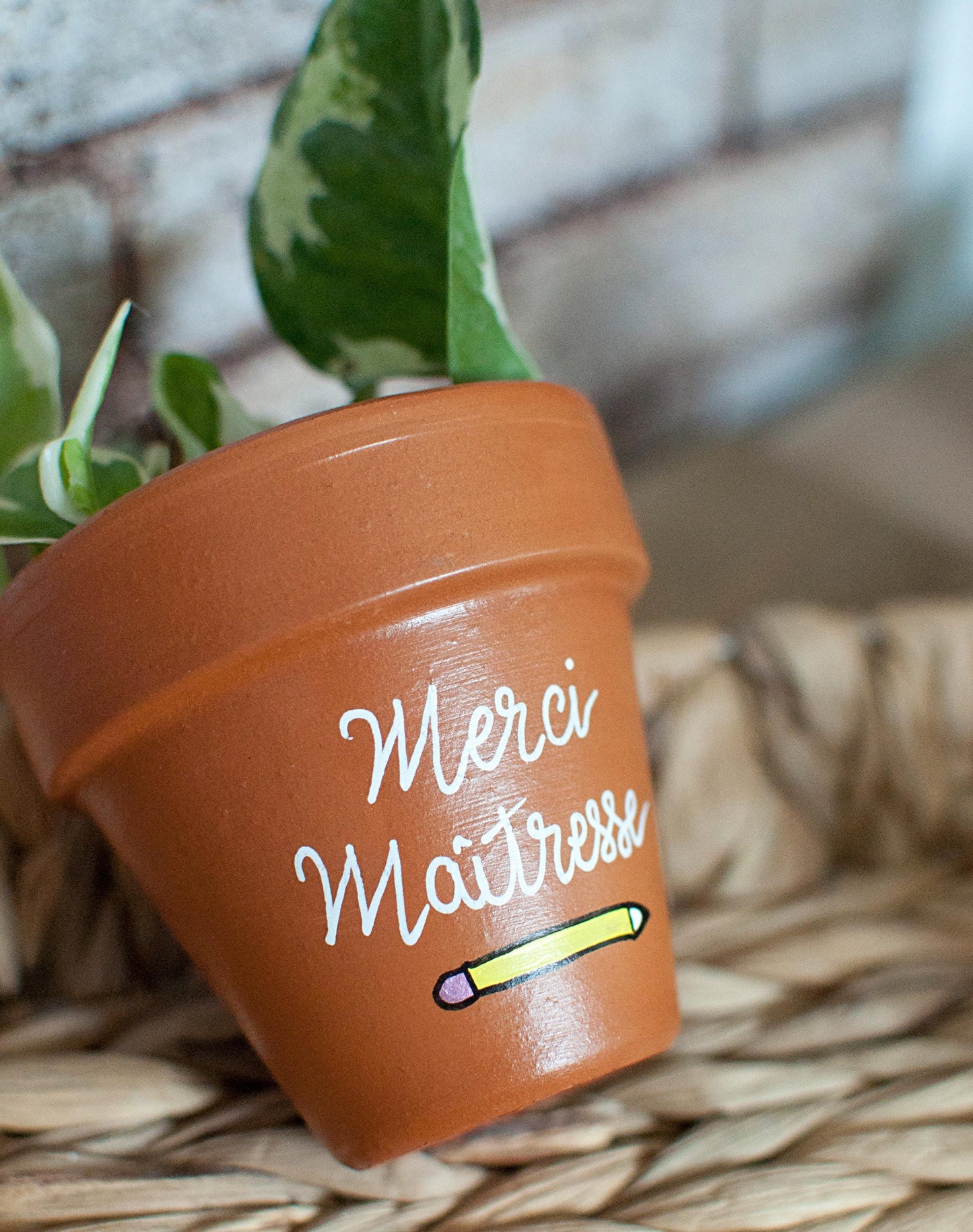 Cache pot / Pot en terre cuite personnalisé pour la fin d’année scolaire : Merci Maitresse / Super Atsem /Super AESH - Pot Terra Cotta