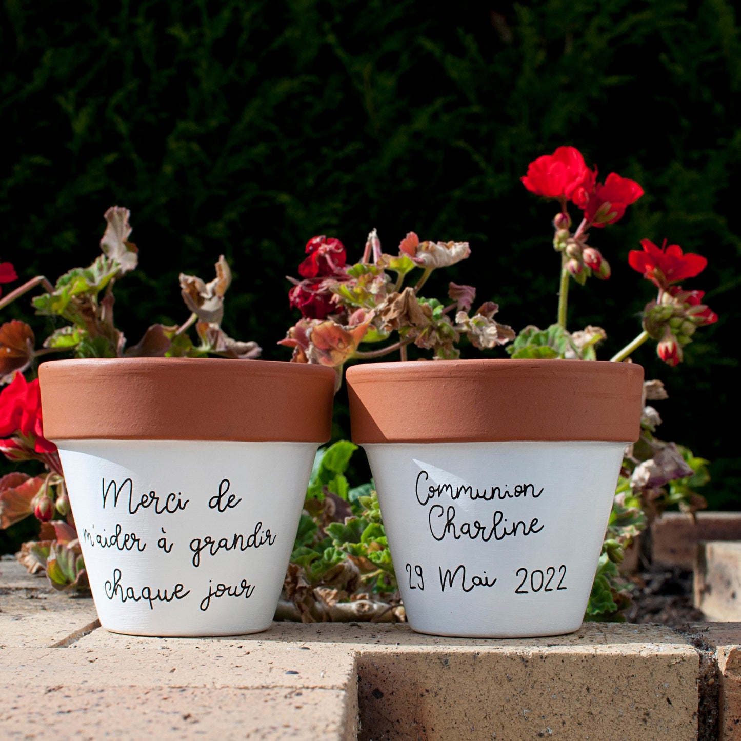 Cache pot /Pot de fleurs en terre cuite personnalisé : prénom/texte
