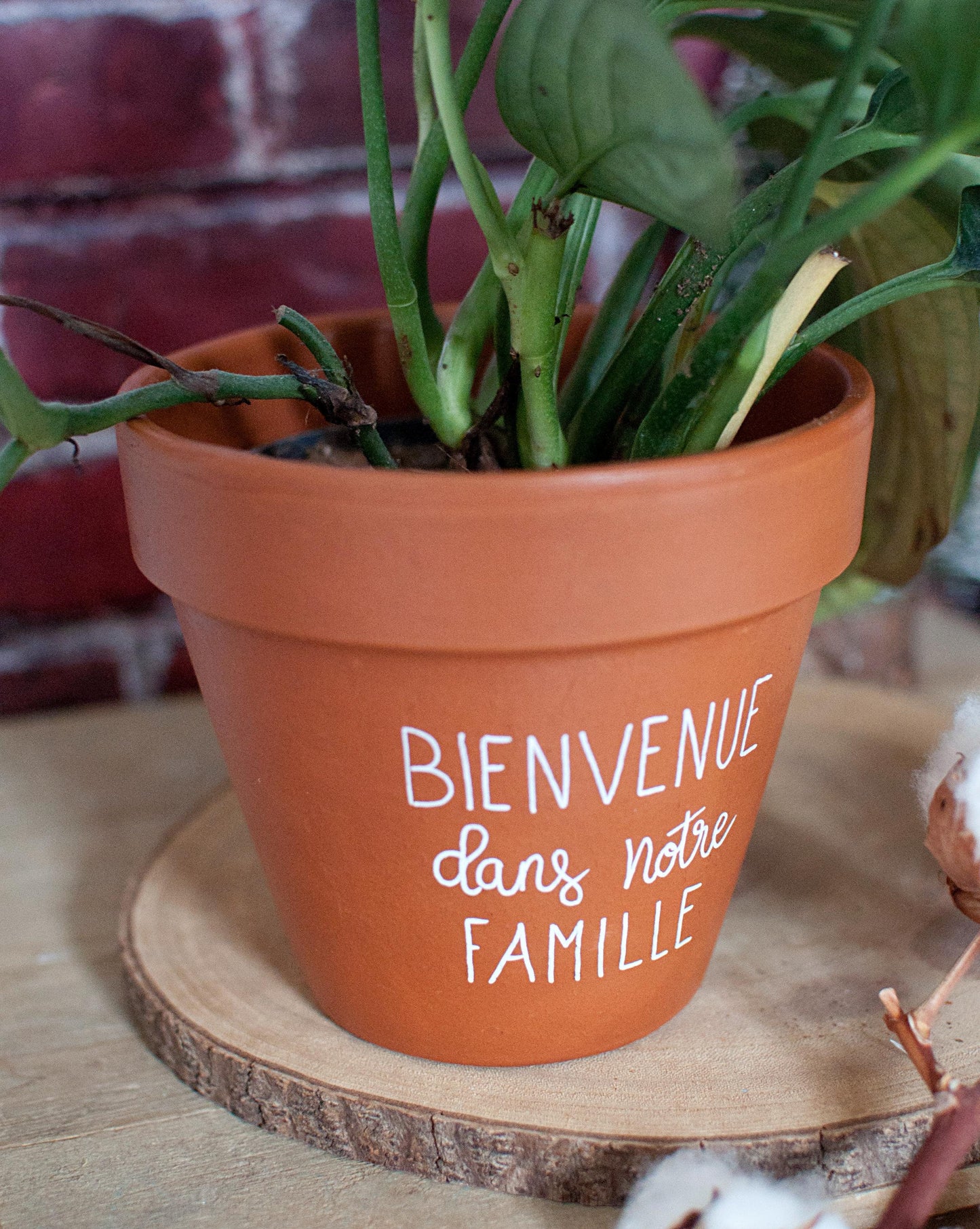 Cache pot / pot de fleur en terre cuite personnalisé "Bienvenue dans notre famille"