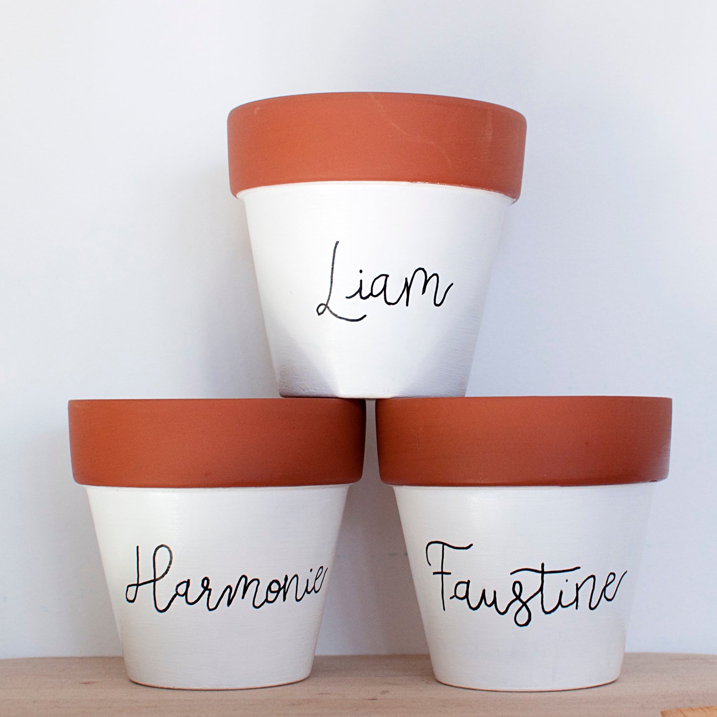 Cache pot /Pot de fleurs en terre cuite personnalisé : prénom/texte