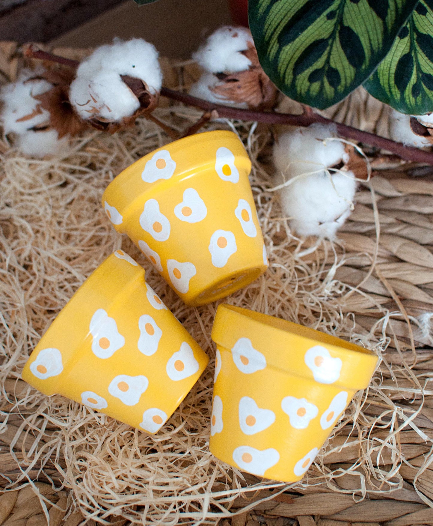 Pot en terre cuite : Eggs