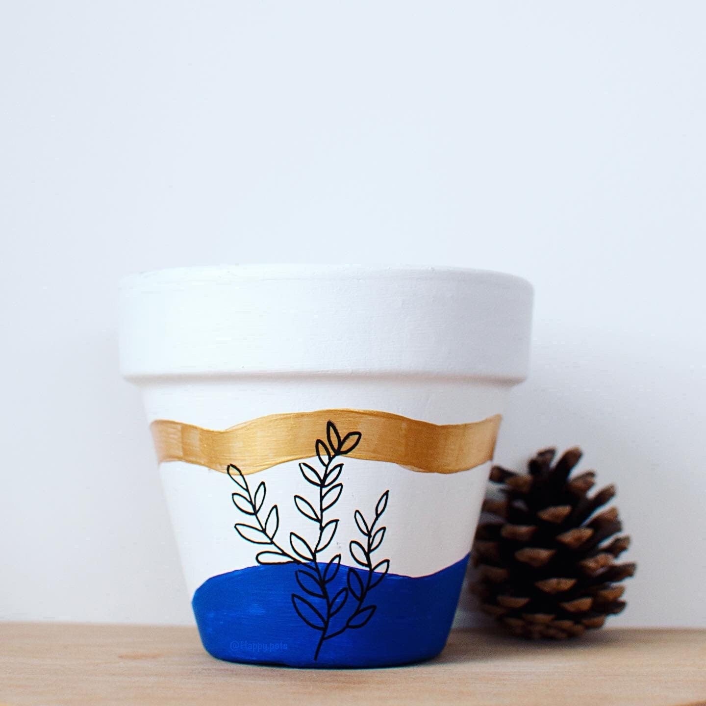 Pot en terre cuite : Goldesia