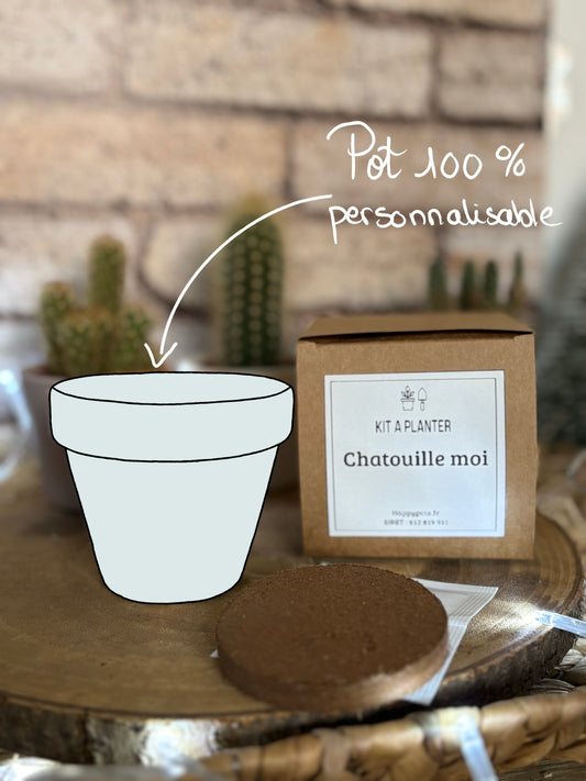 Kit à planter : Chatouille moi + pot en terre cuite 8 cm de diamètre