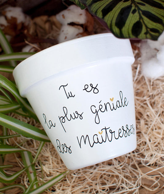 Cache pot / Pot en terre cuite personnalisé : Tu es la plus géniale des maîtresses  [Cadeau maîtresse / cadeau fin d'année scolaire]