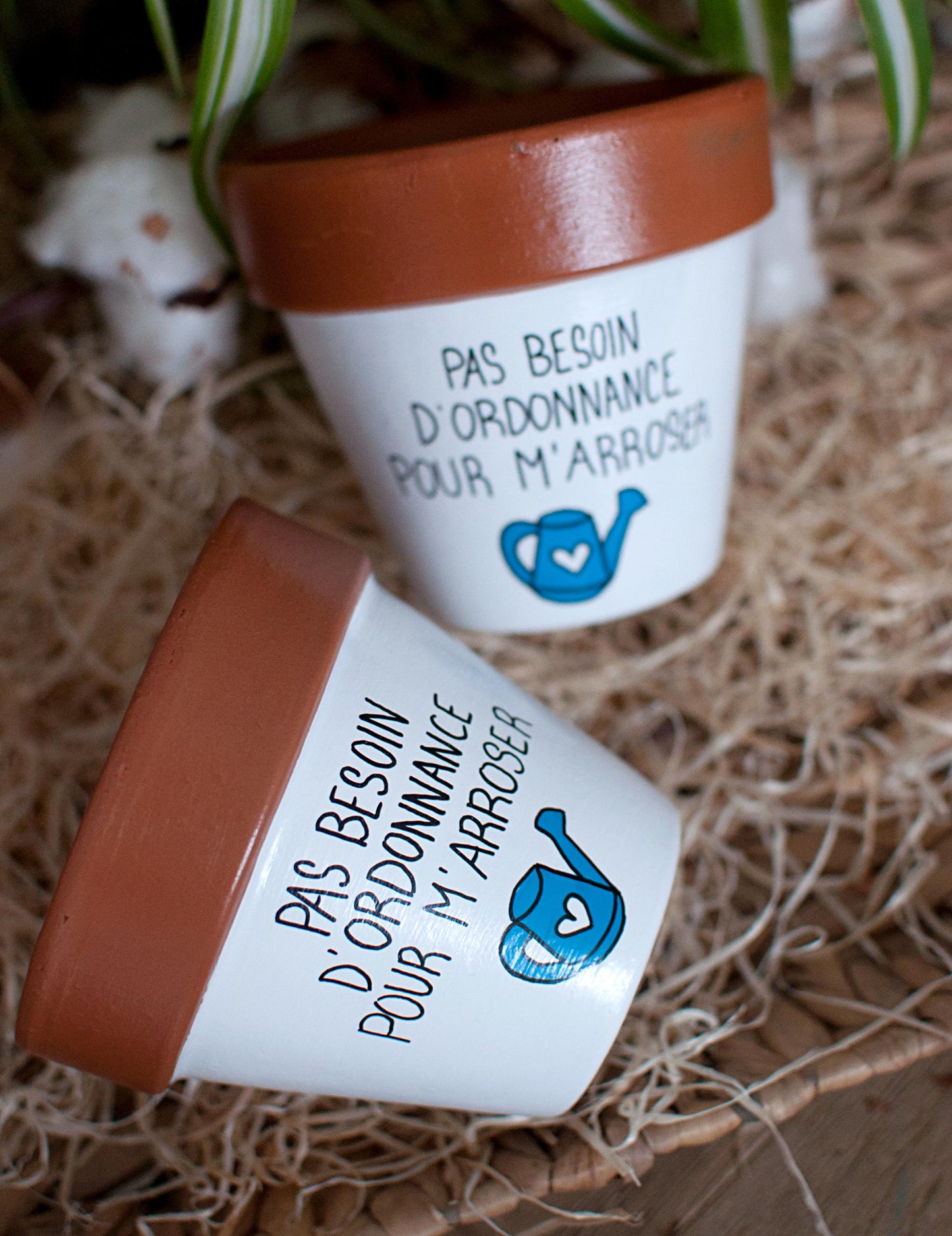Cache pot / Pot de fleurs en terre cuite : Pas besoin d'ordonnance pour m'arroser  [Pot humour, cadeau infirmière, cadeau médical]