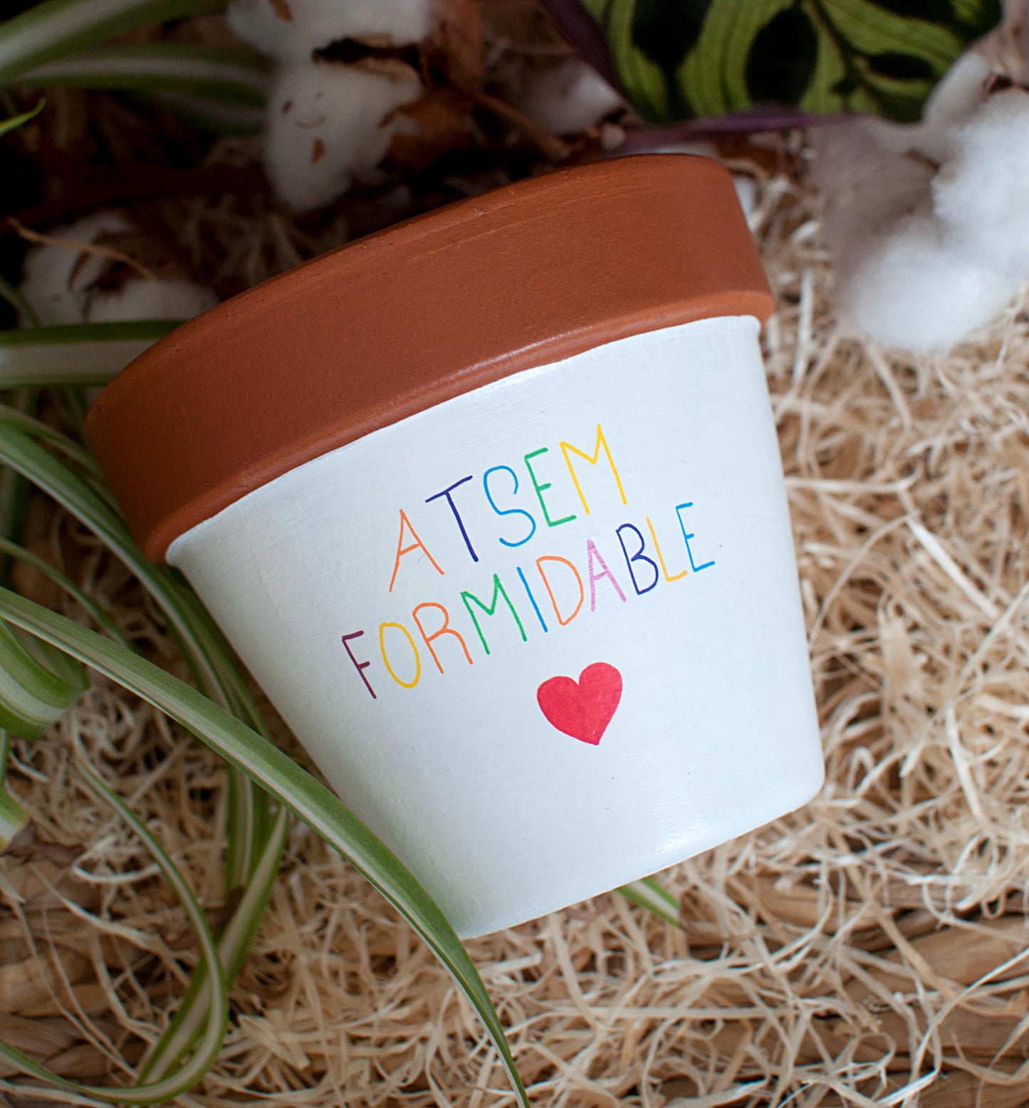 Cache pot / Pot en terre cuite personnalisé pour la  fin d’année scolaire : Maitresse Formidable - Version bicolore [ Cadeau Maitresse ]