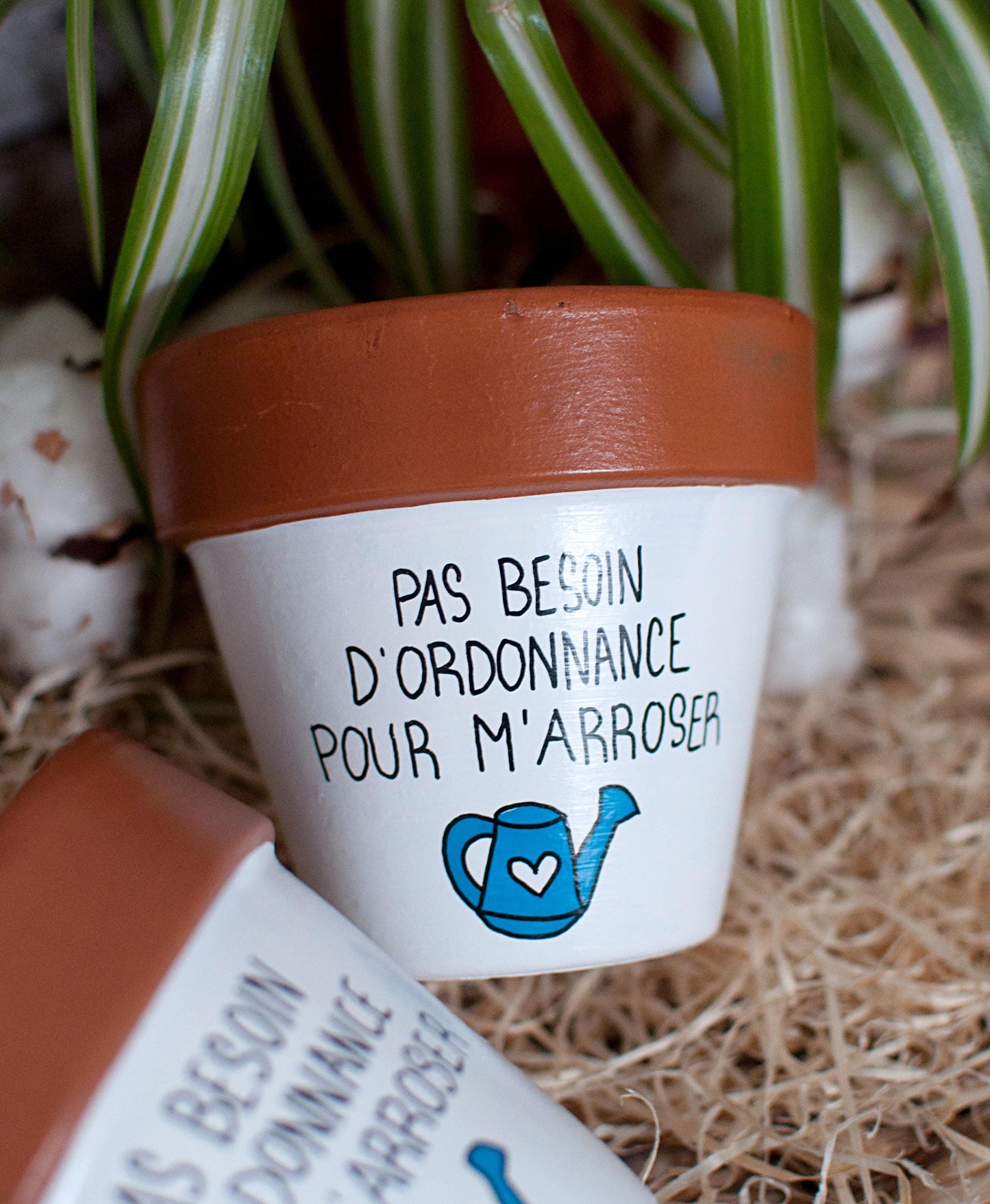 Cache pot / Pot de fleurs en terre cuite : Pas besoin d'ordonnance pour m'arroser  [Pot humour, cadeau infirmière, cadeau médical]