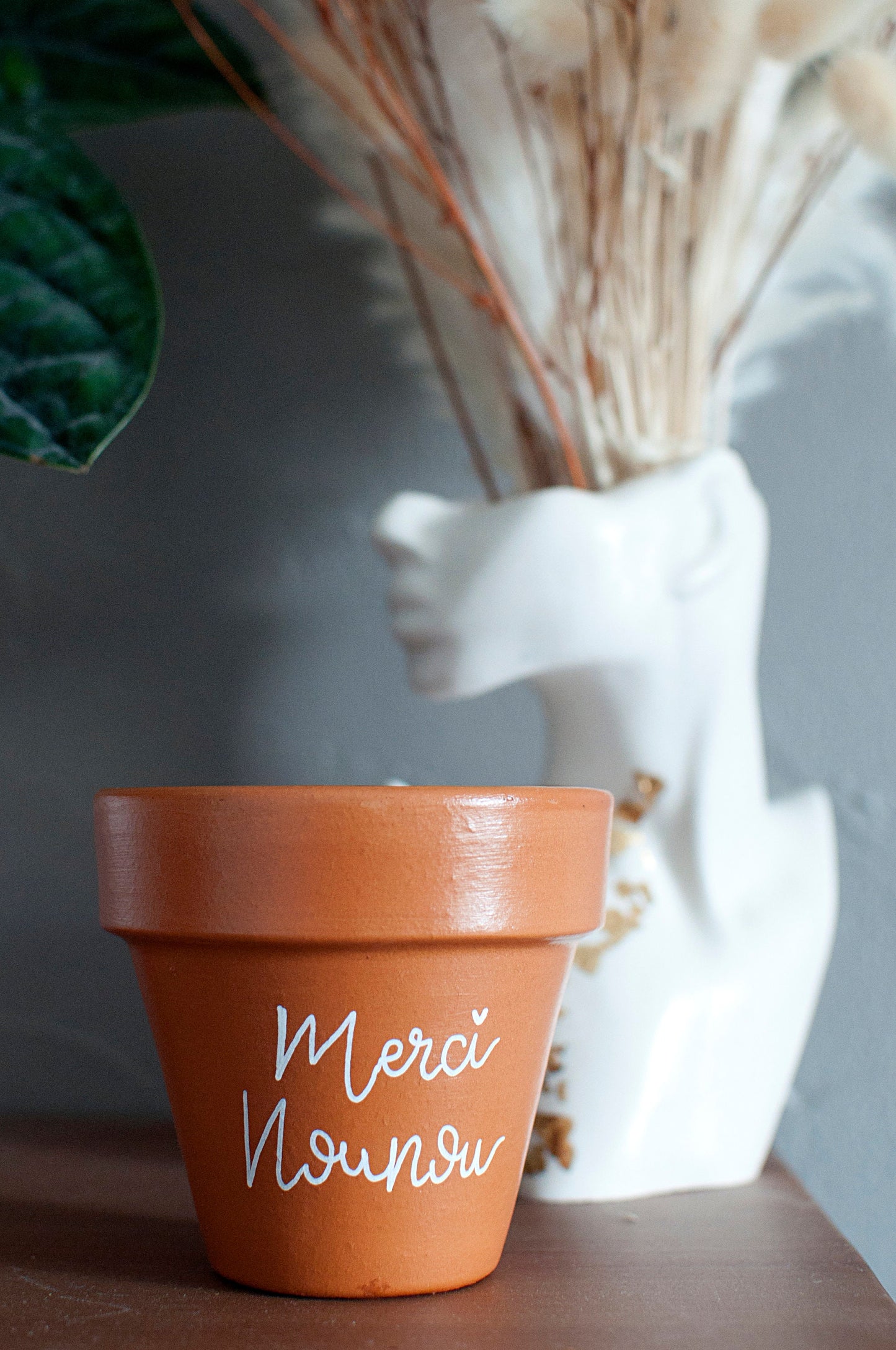 Cache pot / Pot de fleurs en terre cuite personnalisé : Merci Nounou
