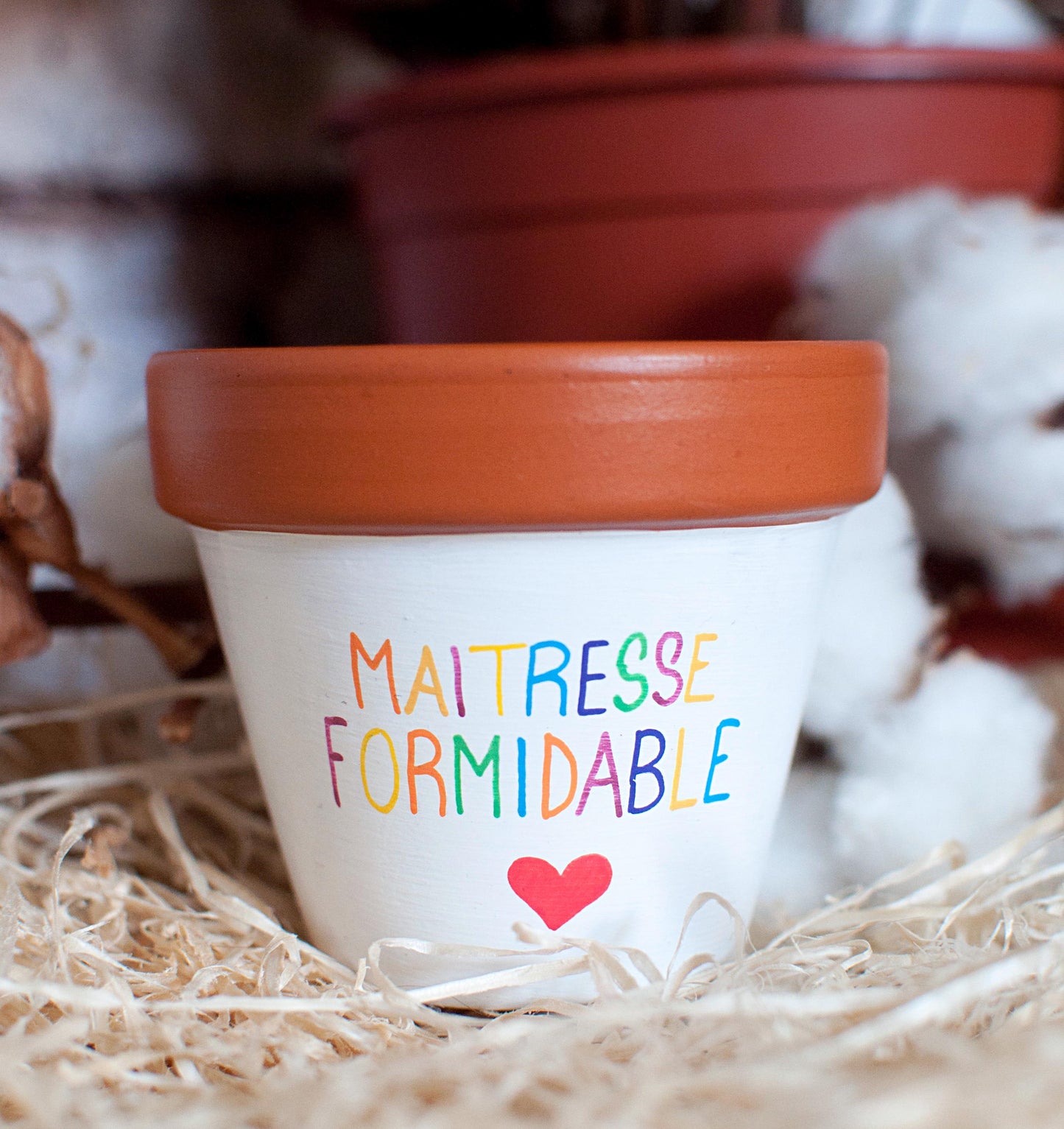 Cache pot / Pot en terre cuite personnalisé pour la  fin d’année scolaire : Maitresse Formidable - Version bicolore [ Cadeau Maitresse ]