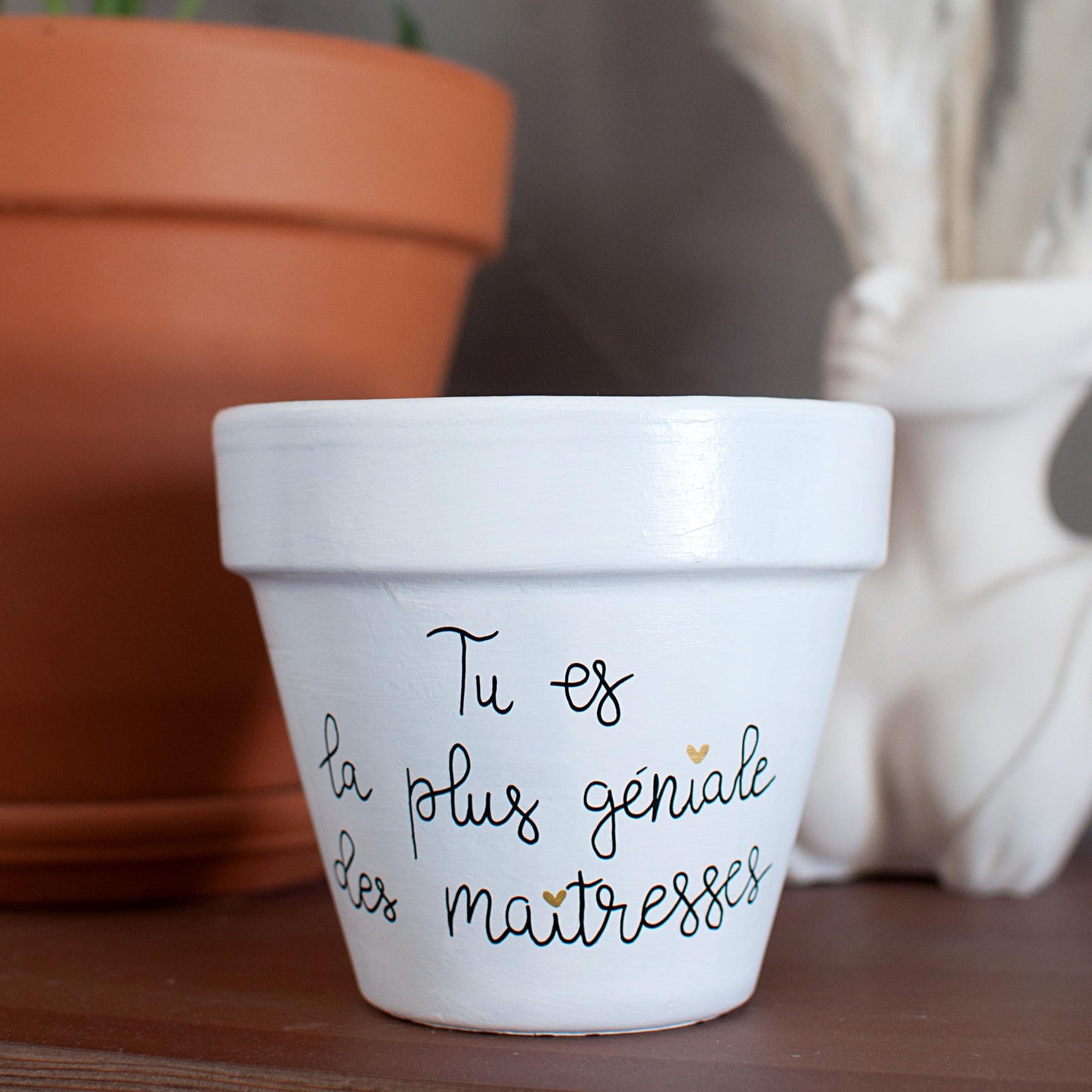 Cache pot / Pot en terre cuite personnalisé : Tu es la plus géniale des maîtresses  [Cadeau maîtresse / cadeau fin d'année scolaire]