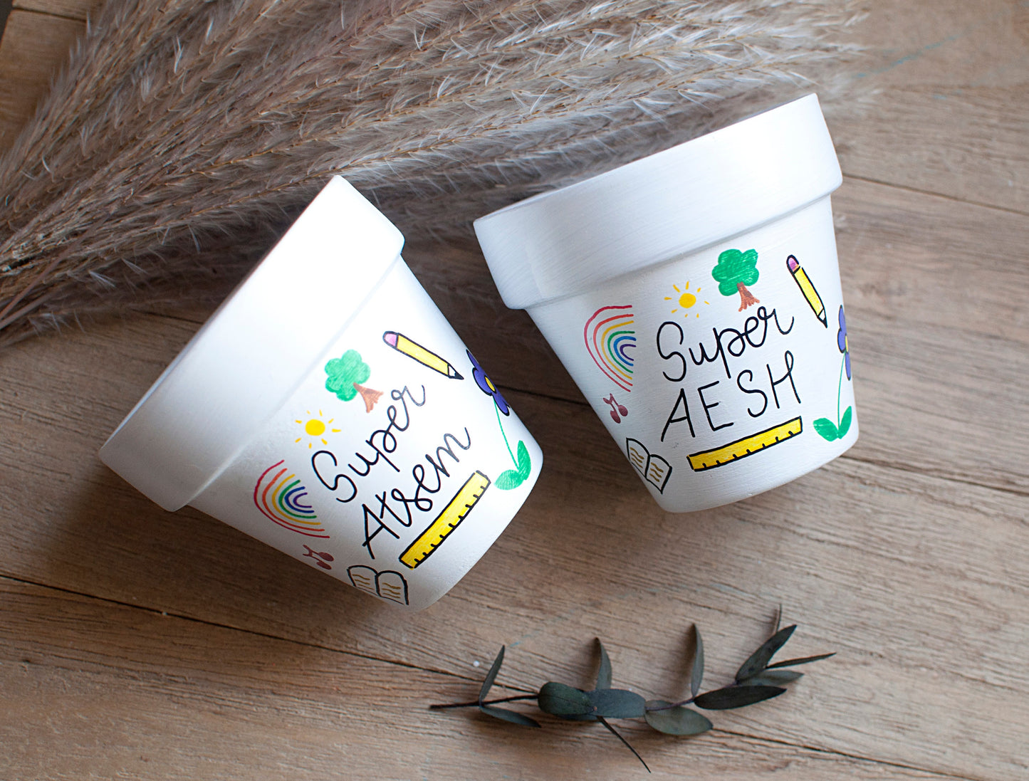 Cache pot / Pot en terre cuite personnalisé pour la fin d’année scolaire : Merci Maitresse /  Super Atsem / Super AESH [Cadeau maîtresse]